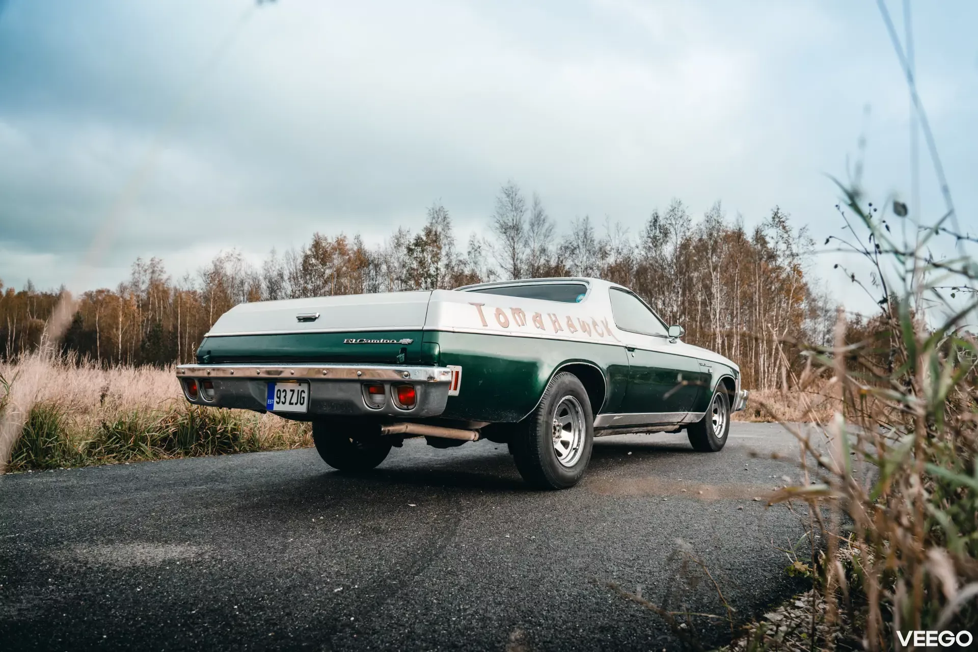 1973 Chevrolet El Camino - Estate, foto 8