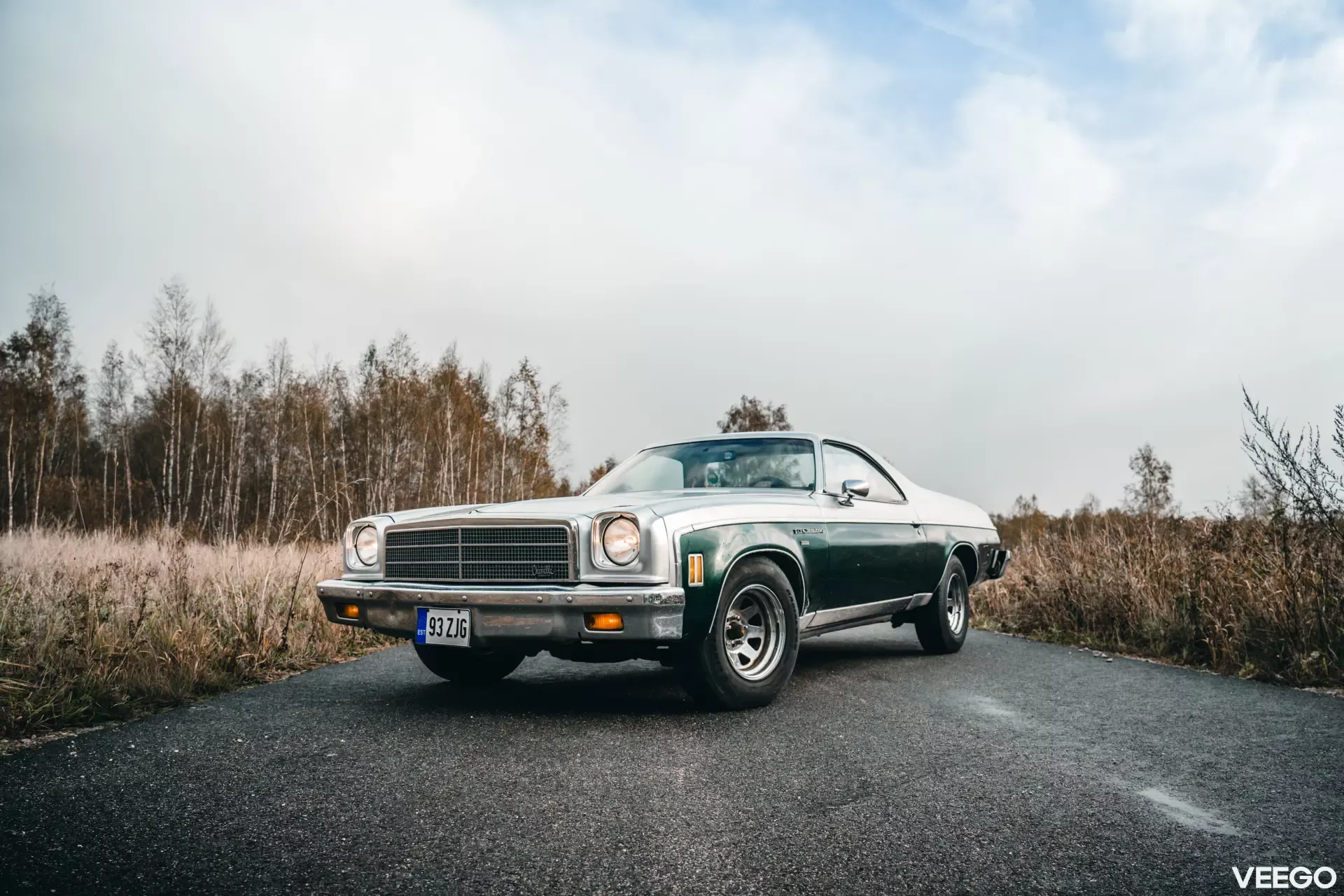 1973 Chevrolet El Camino - Estate, foto 4