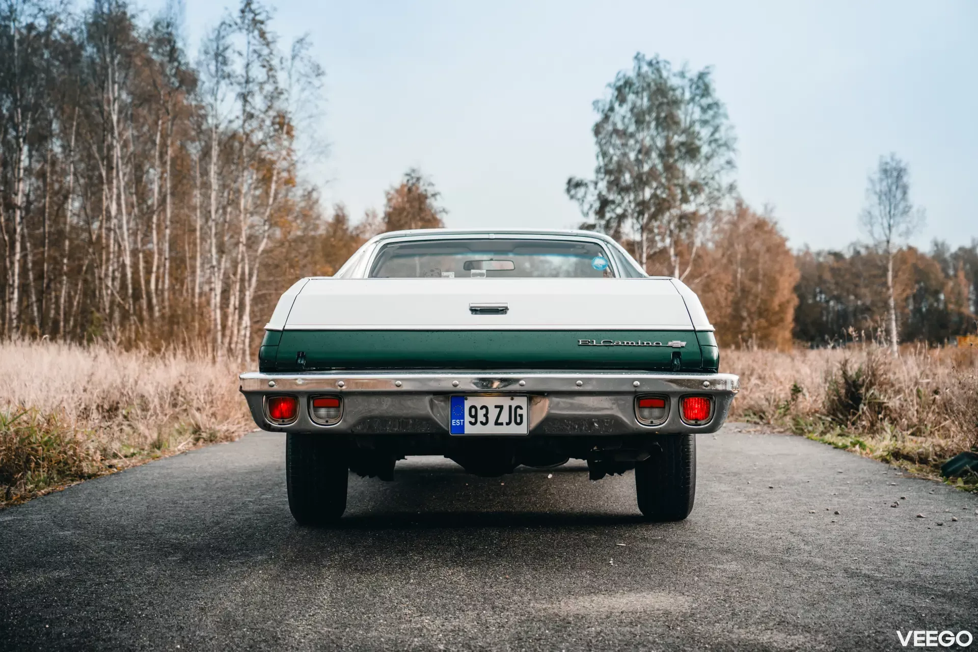 1973 Chevrolet El Camino - Estate, foto 7