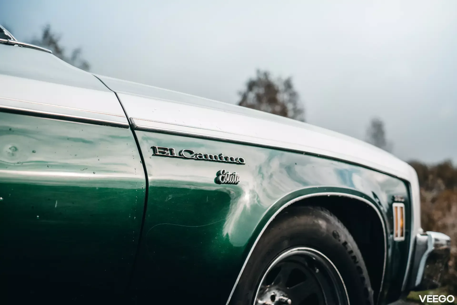 1973 Chevrolet El Camino - Estate, foto 9