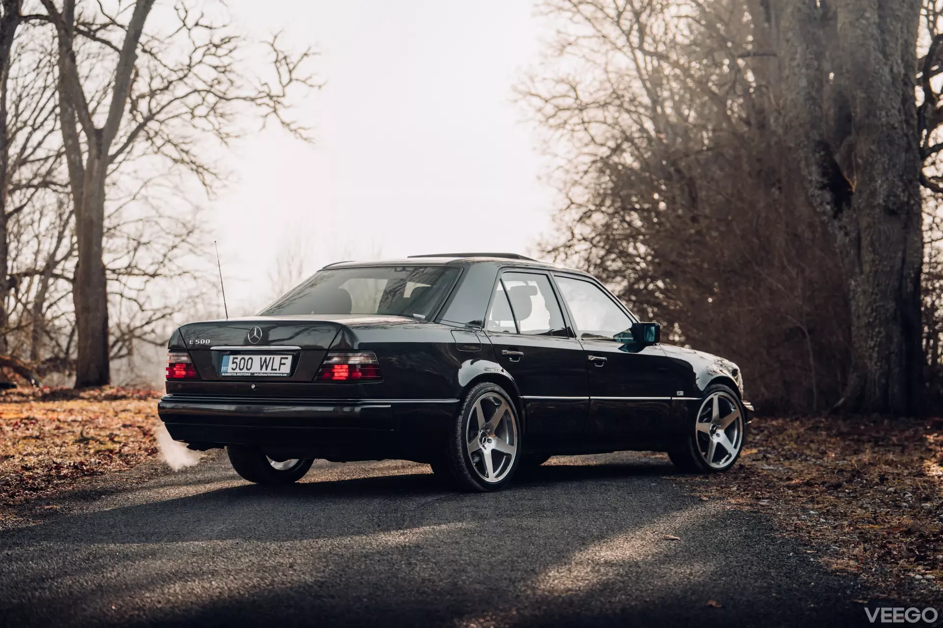 1994 Mercedes-Benz E-Class - W124 E500, foto 8
