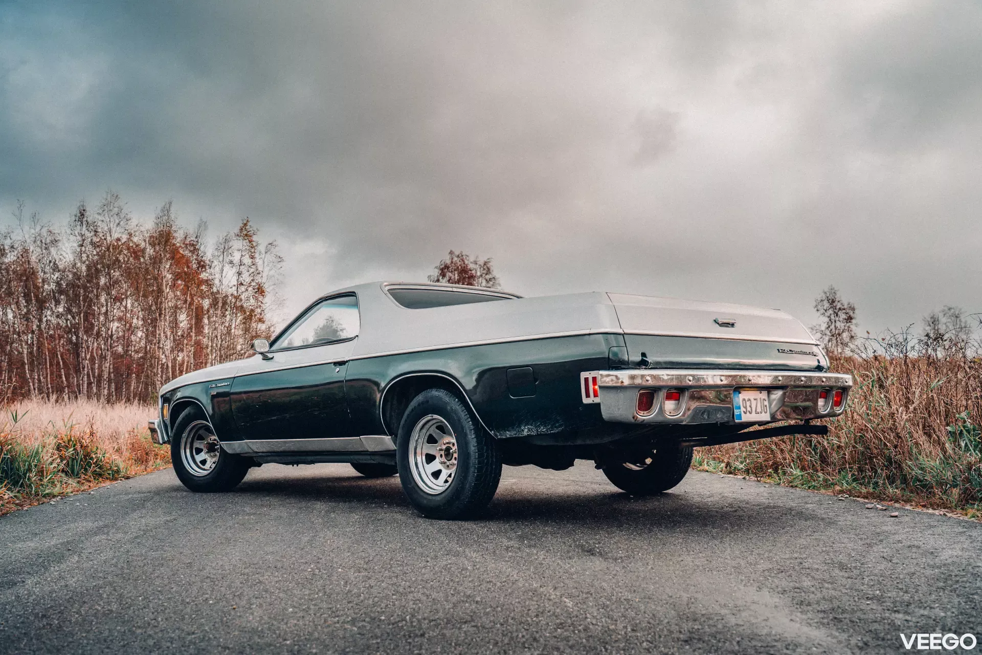 1973 Chevrolet El Camino - Estate, foto 6