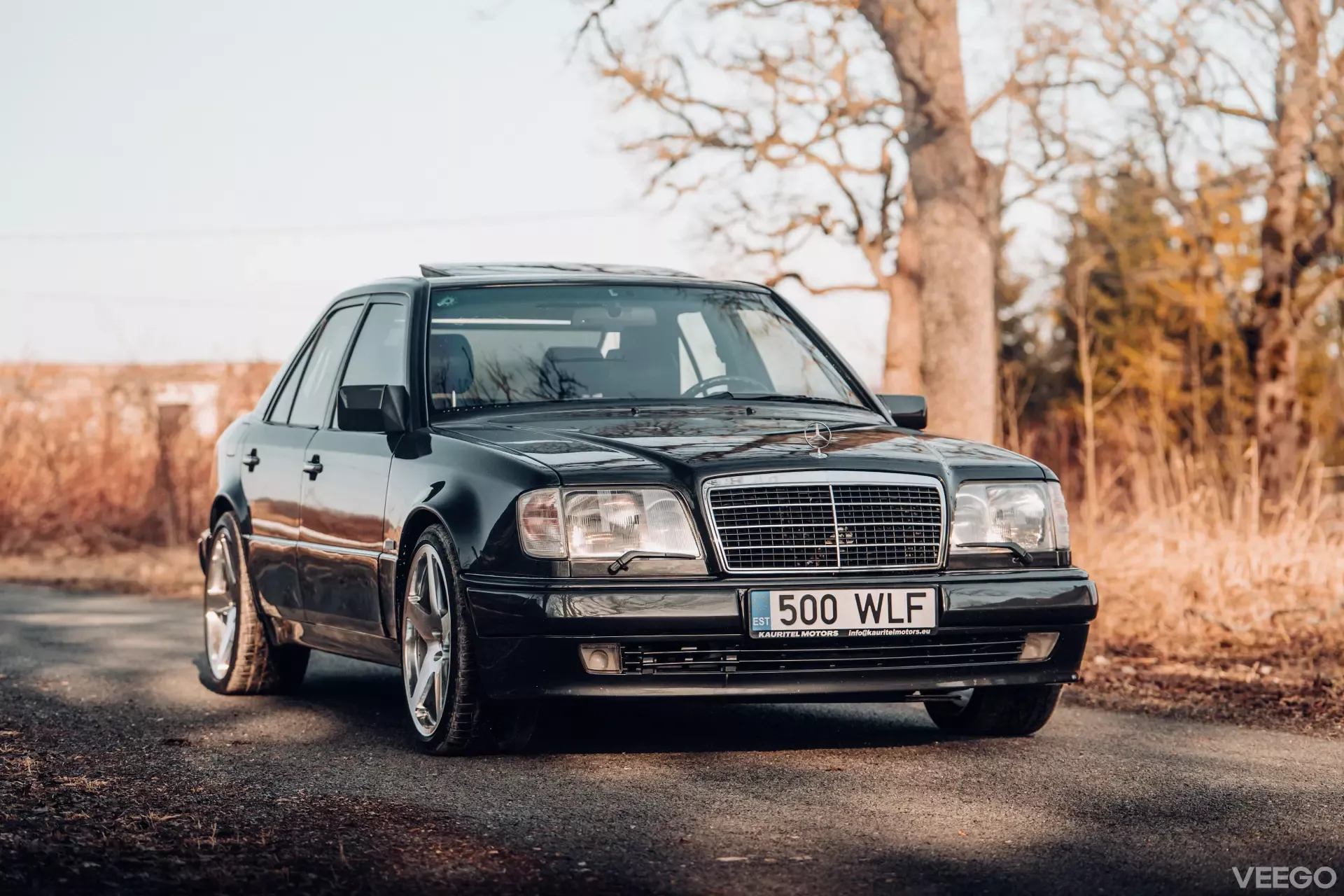 1994 Mercedes-Benz E-Class - W124 E500, foto 9