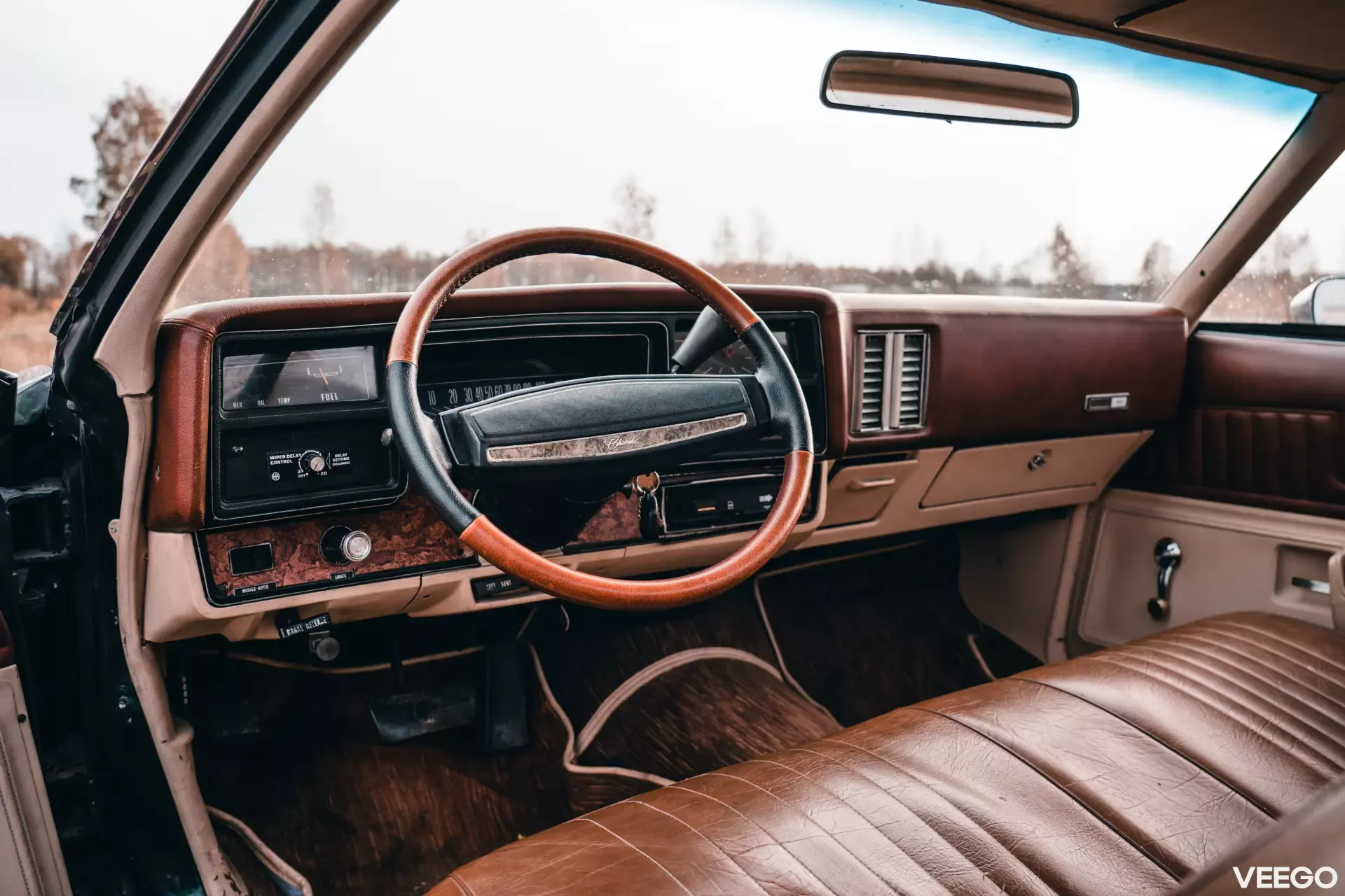 1973 Chevrolet El Camino - Estate, foto 12