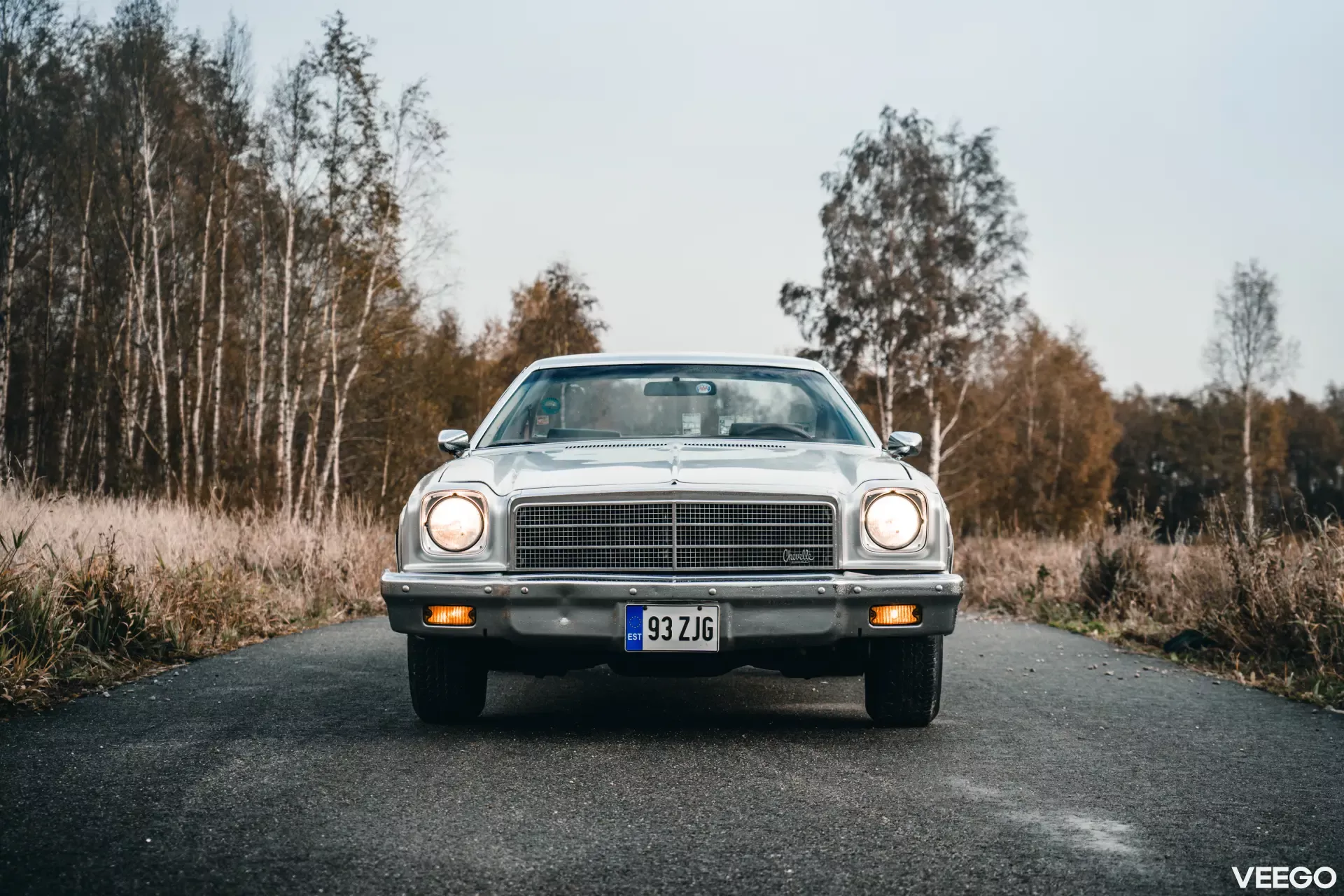 1973 Chevrolet El Camino - Estate, foto 2