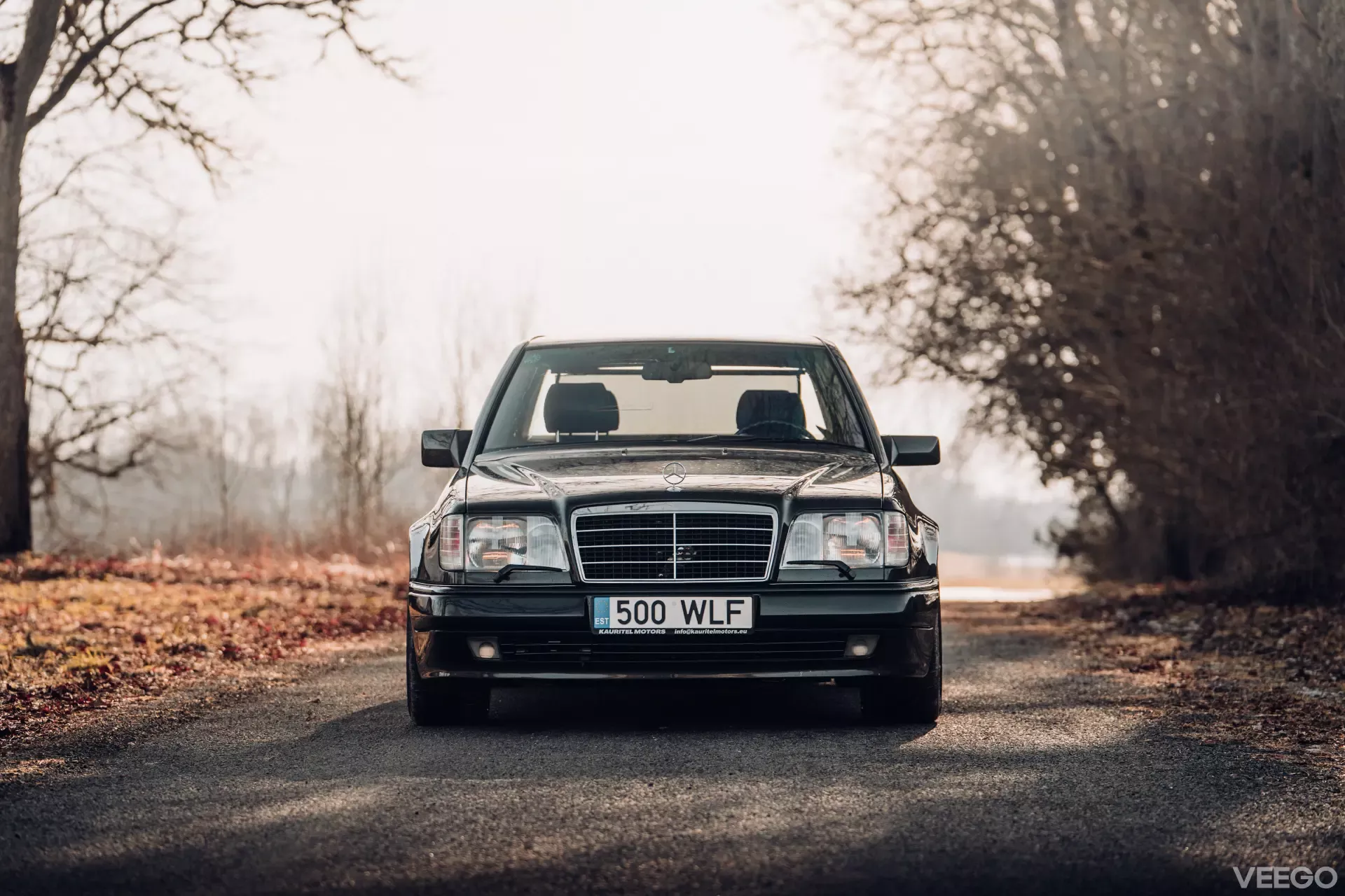 1994 Mercedes-Benz E-Class - W124 E500, foto 2
