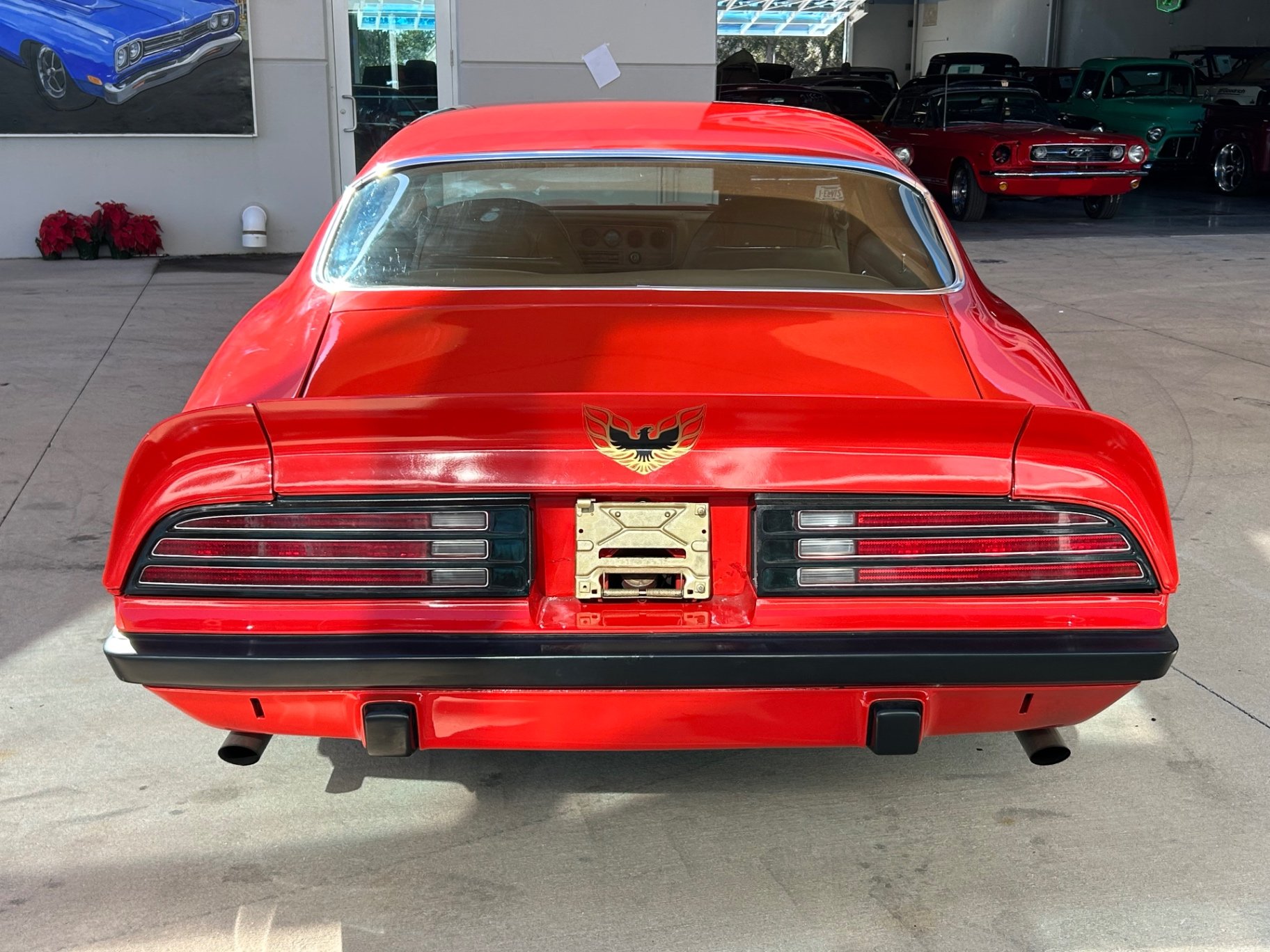 1974 Pontiac Firebird, foto 6