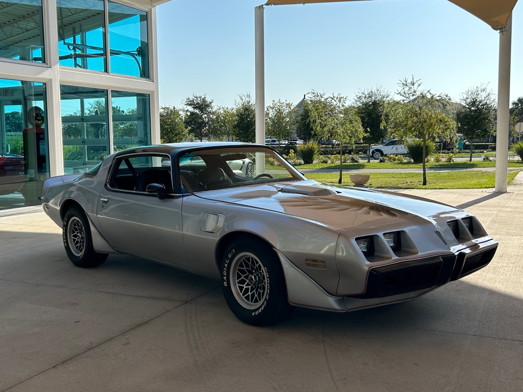1979 Pontiac Firebird, foto 3