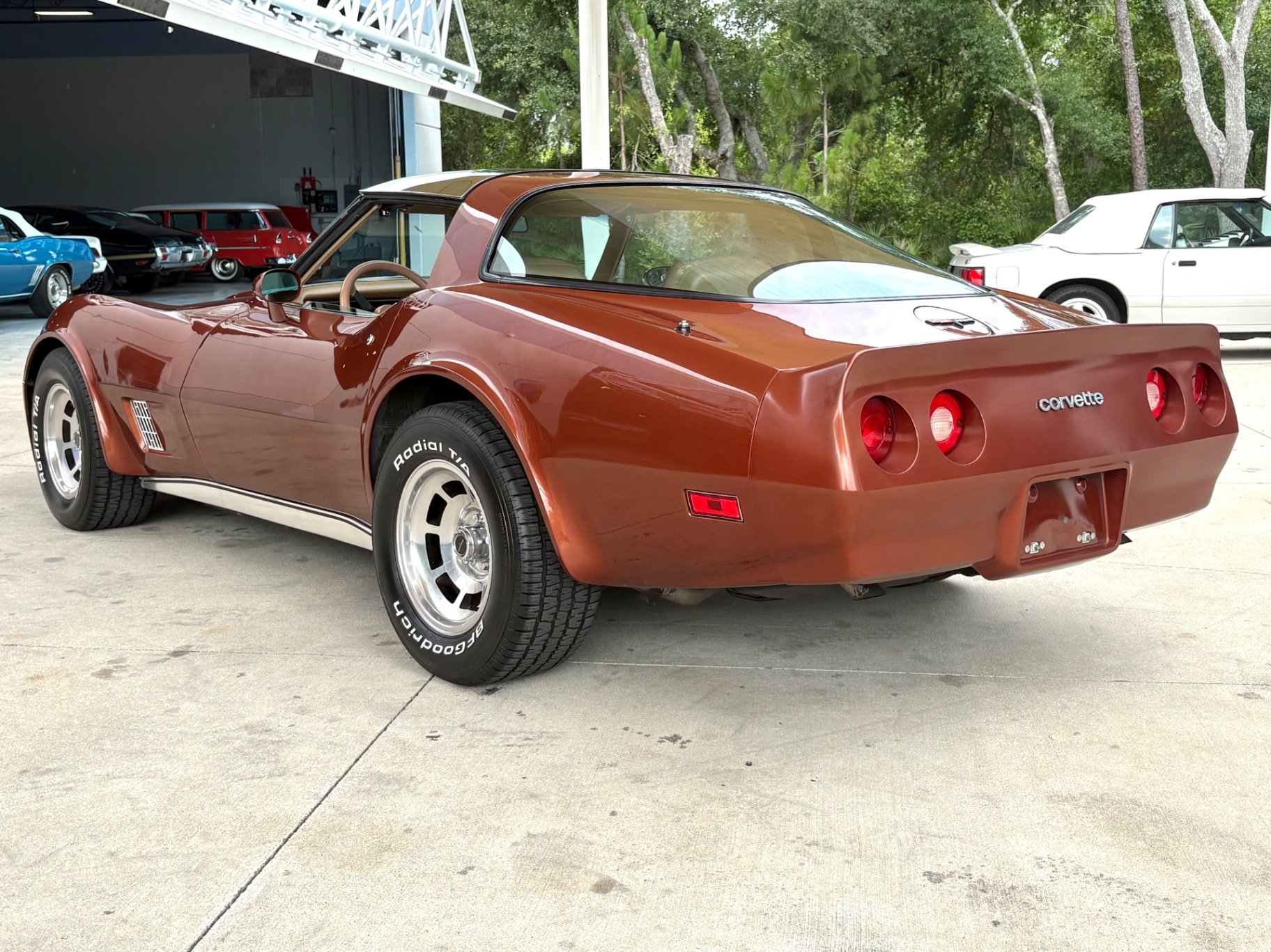 1981 Chevrolet Corvette, foto 9