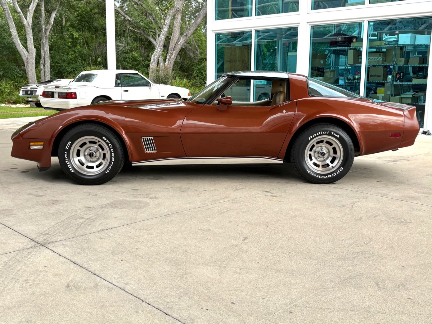 1981 Chevrolet Corvette, foto 10