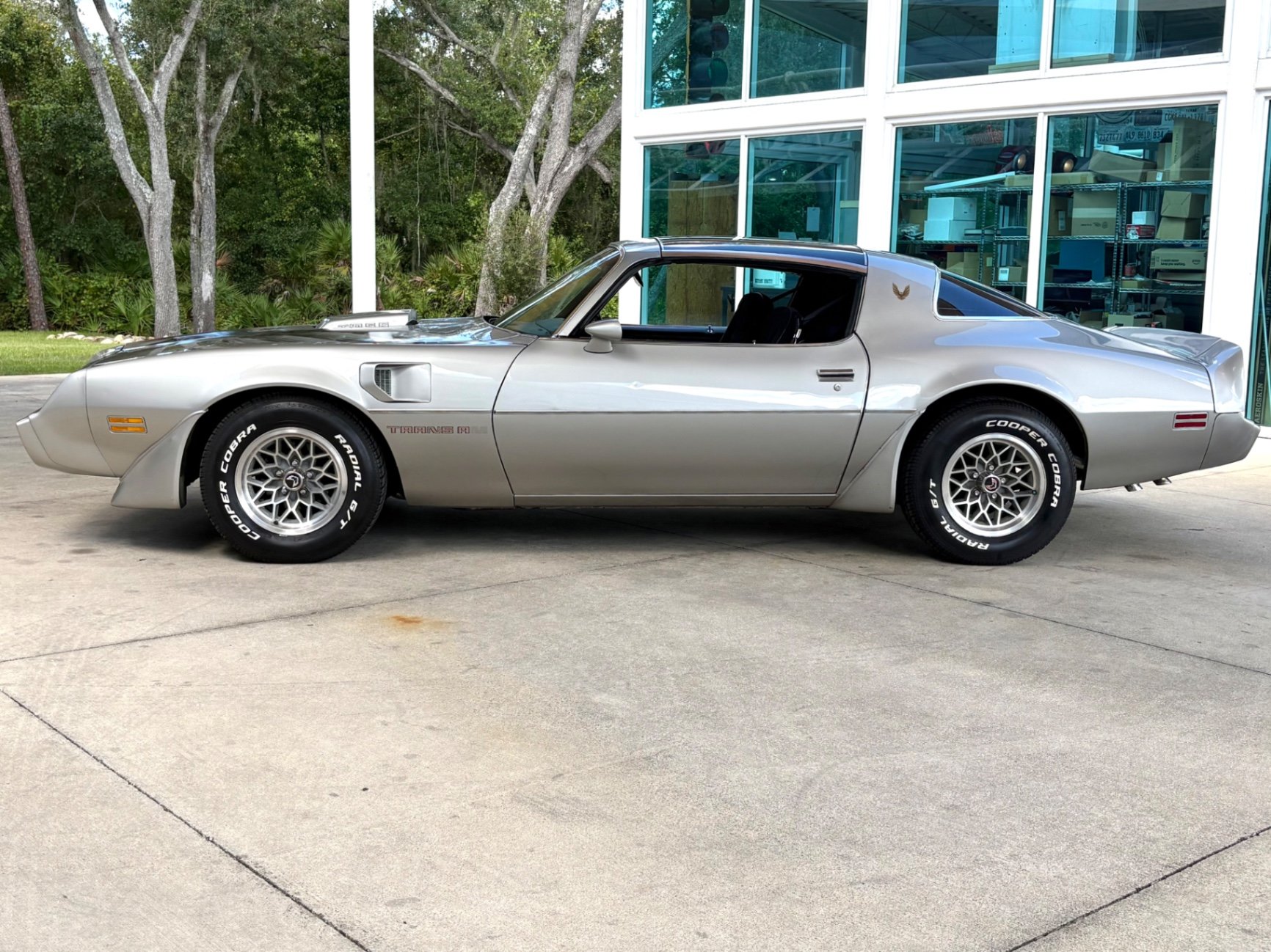 1979 Pontiac Firebird, foto 10