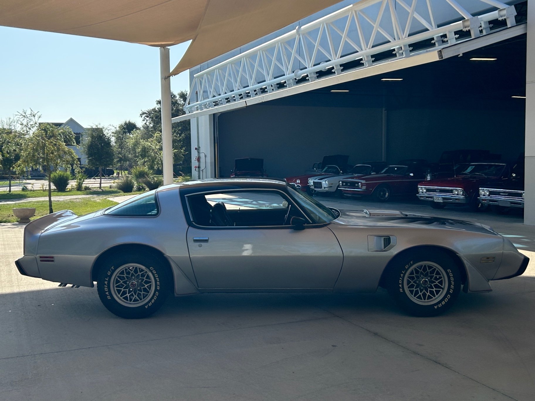 1979 Pontiac Firebird, foto 4