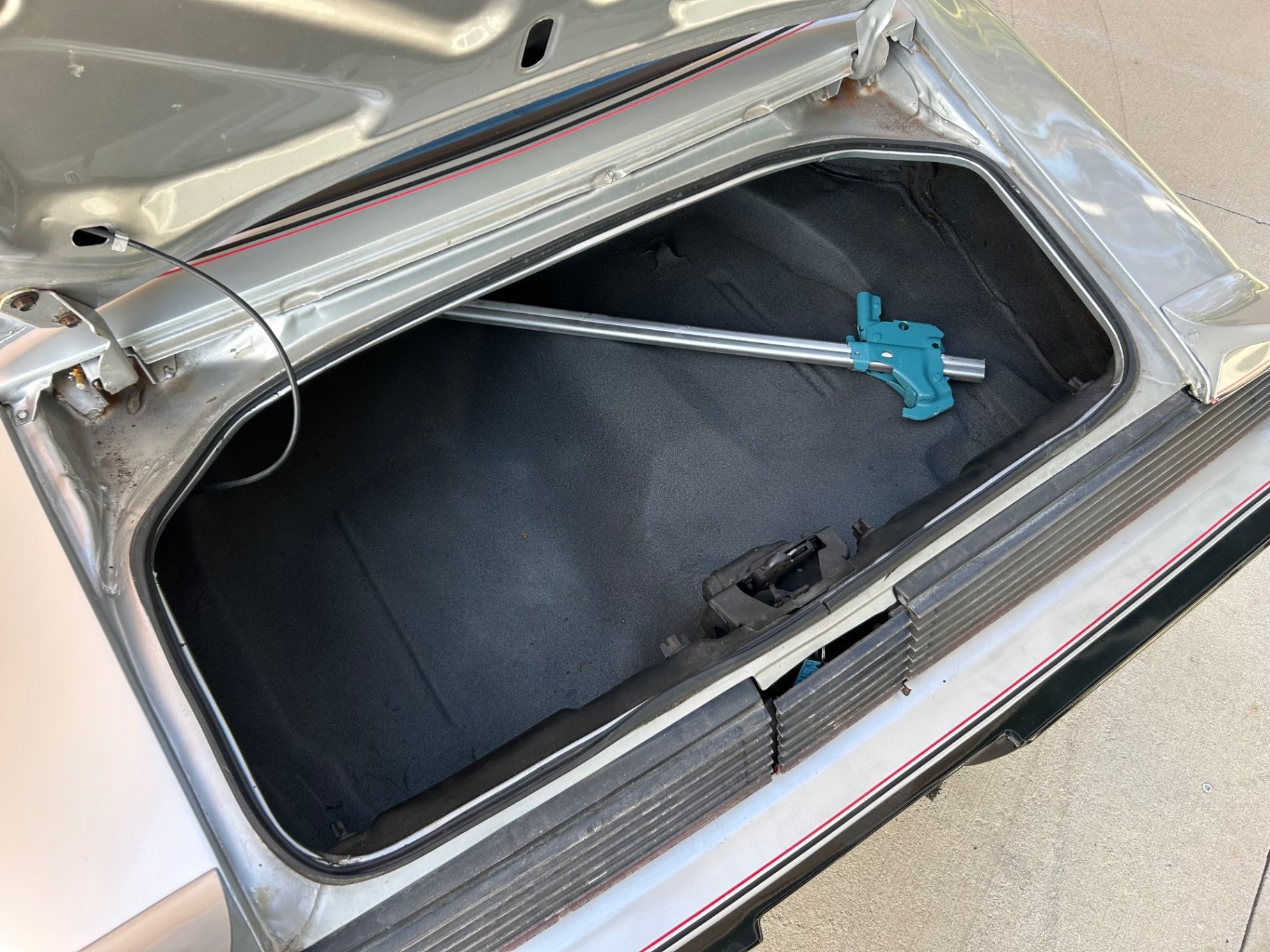 1979 Pontiac Firebird, foto 9