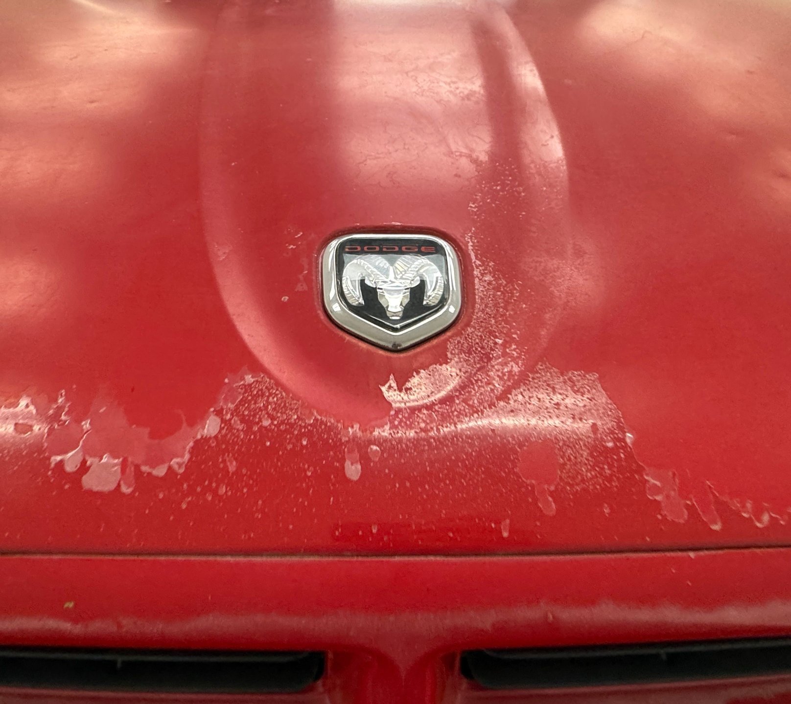 1999 Dodge Dakota - RT Short Bed Pickup, foto 8