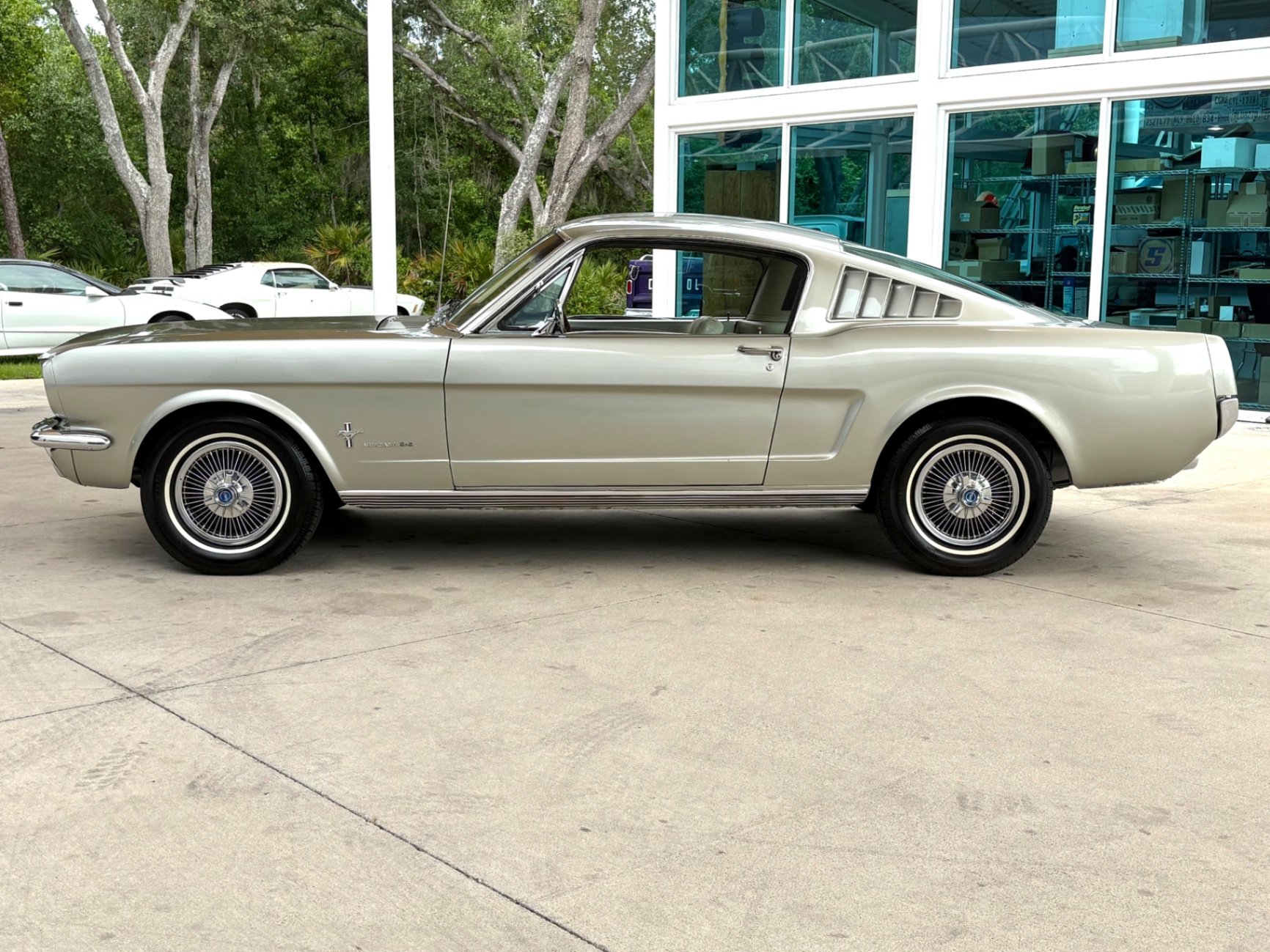 1966 Ford Mustang, foto 10