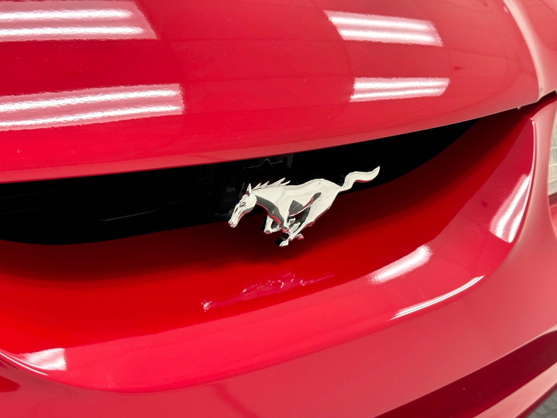 1994 Ford Mustang - Cobra Convertible Pace Car, foto 12