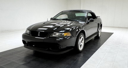 2001 Ford Mustang - Cobra Convertible