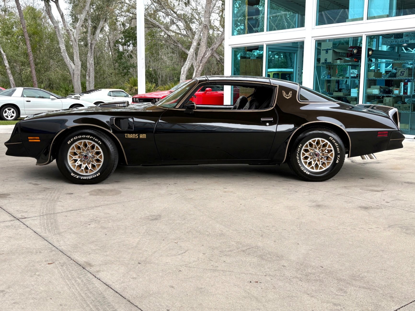 1977 Pontiac Firebird, foto 11