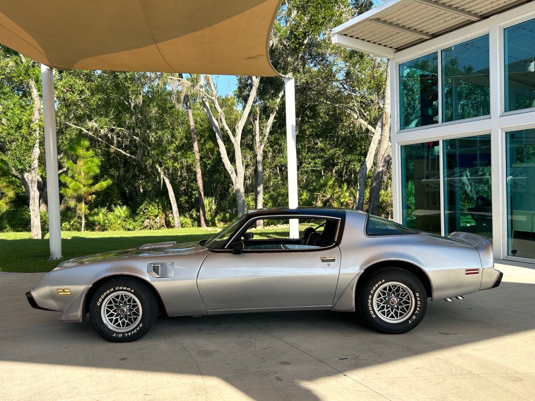 1979 Pontiac Firebird, foto 11