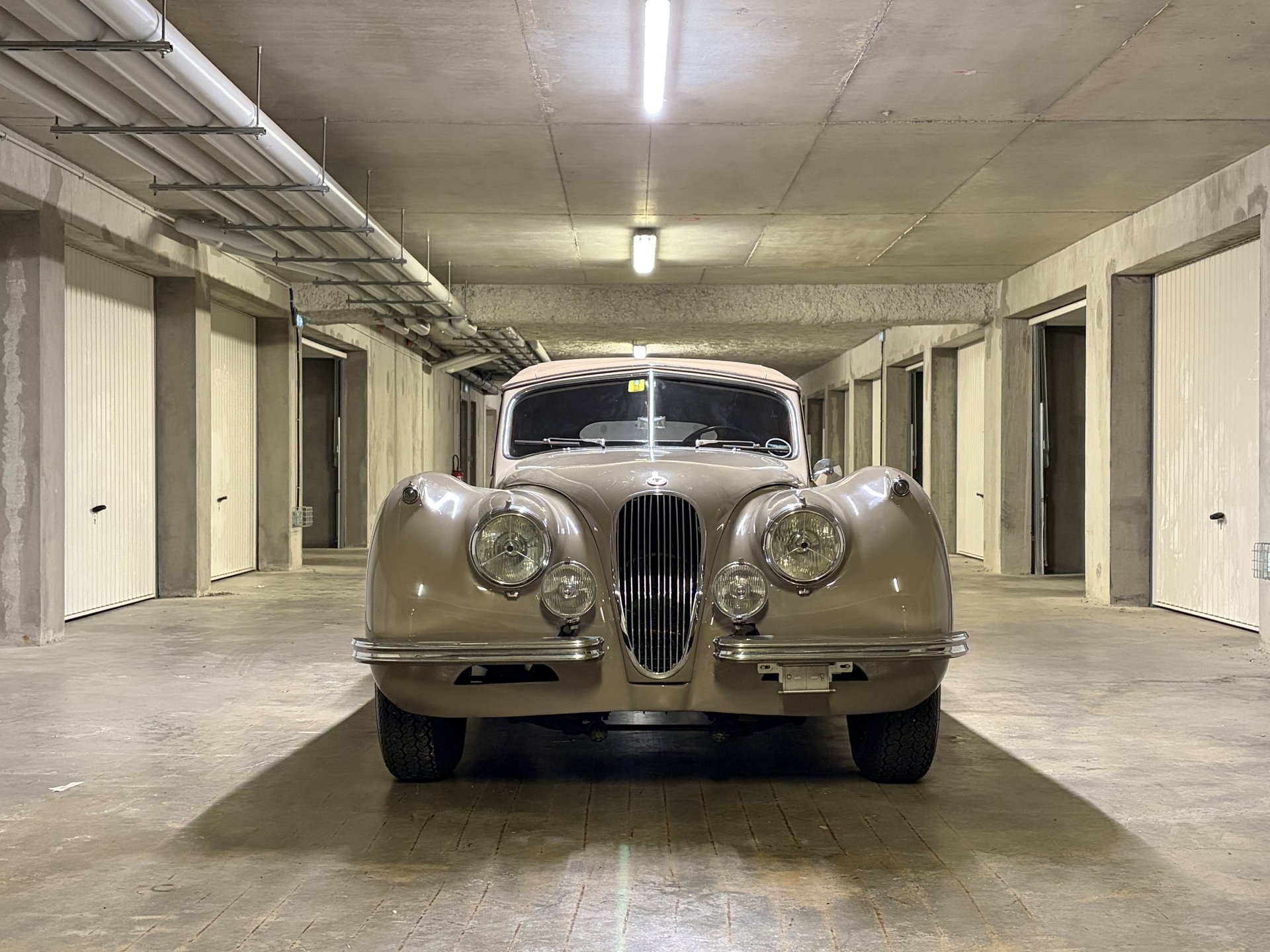 1953 Jaguar XK 120 - Drophead Coupe DHC LHD, foto 2