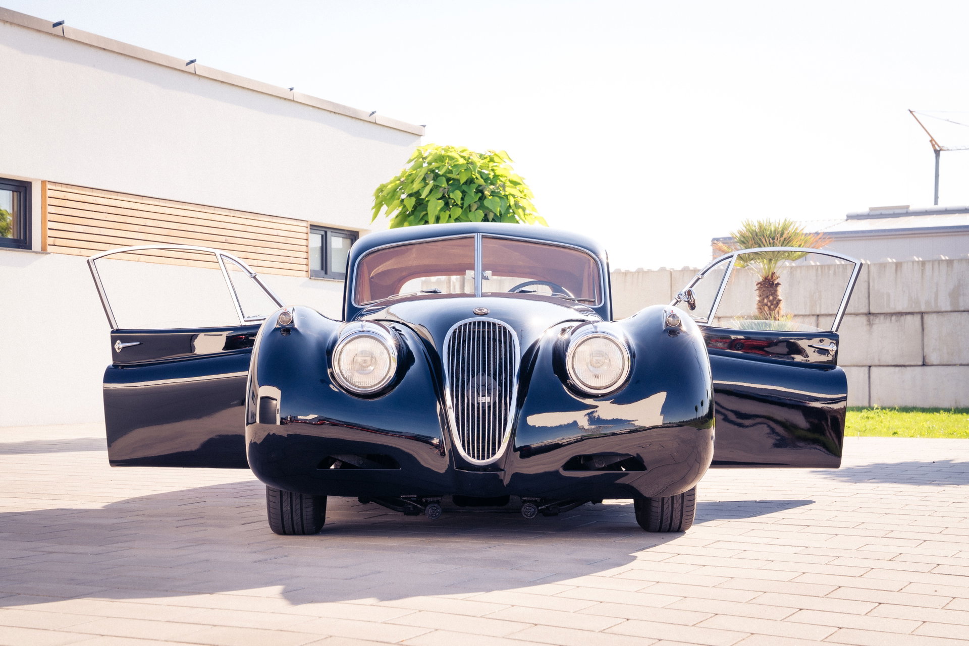 1952 Jaguar XK 120 - FHC – 1-off, einzigartig, zugelassen, C-Type Head mit Sandcast Vergaser, foto 10