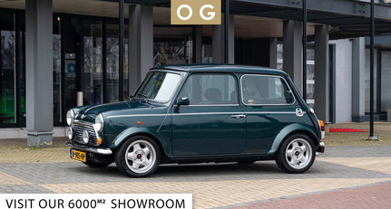 Rover Mini