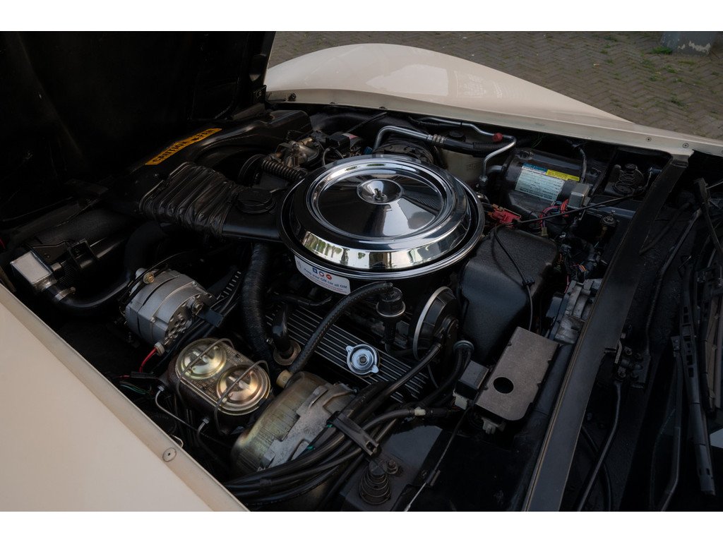 1981 Chevrolet Corvette - C3, foto 9