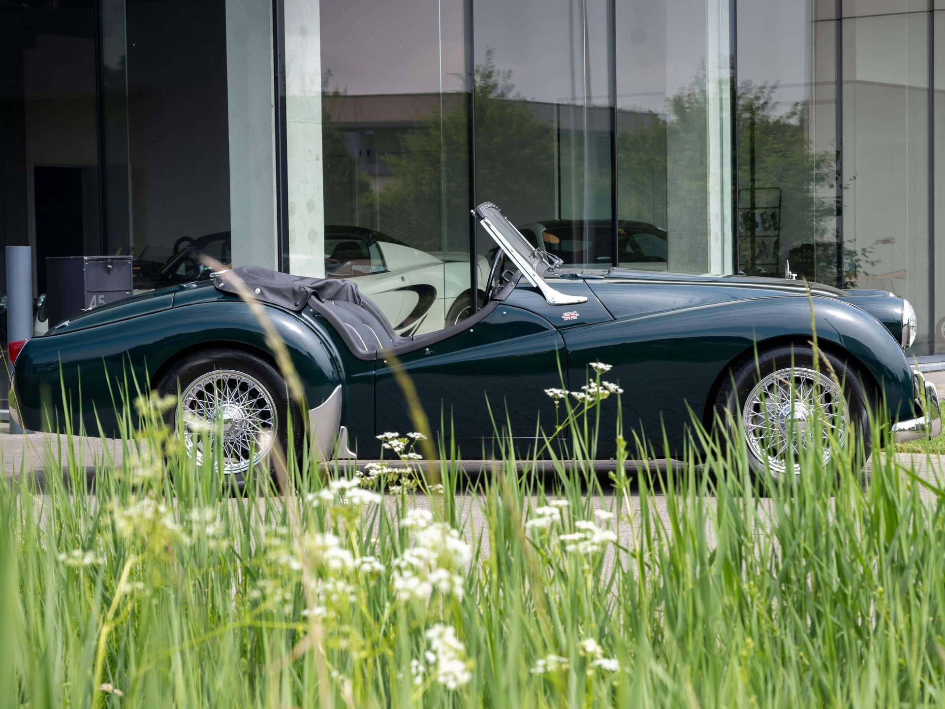 1954 Triumph TR250 - Body off restored, foto 5