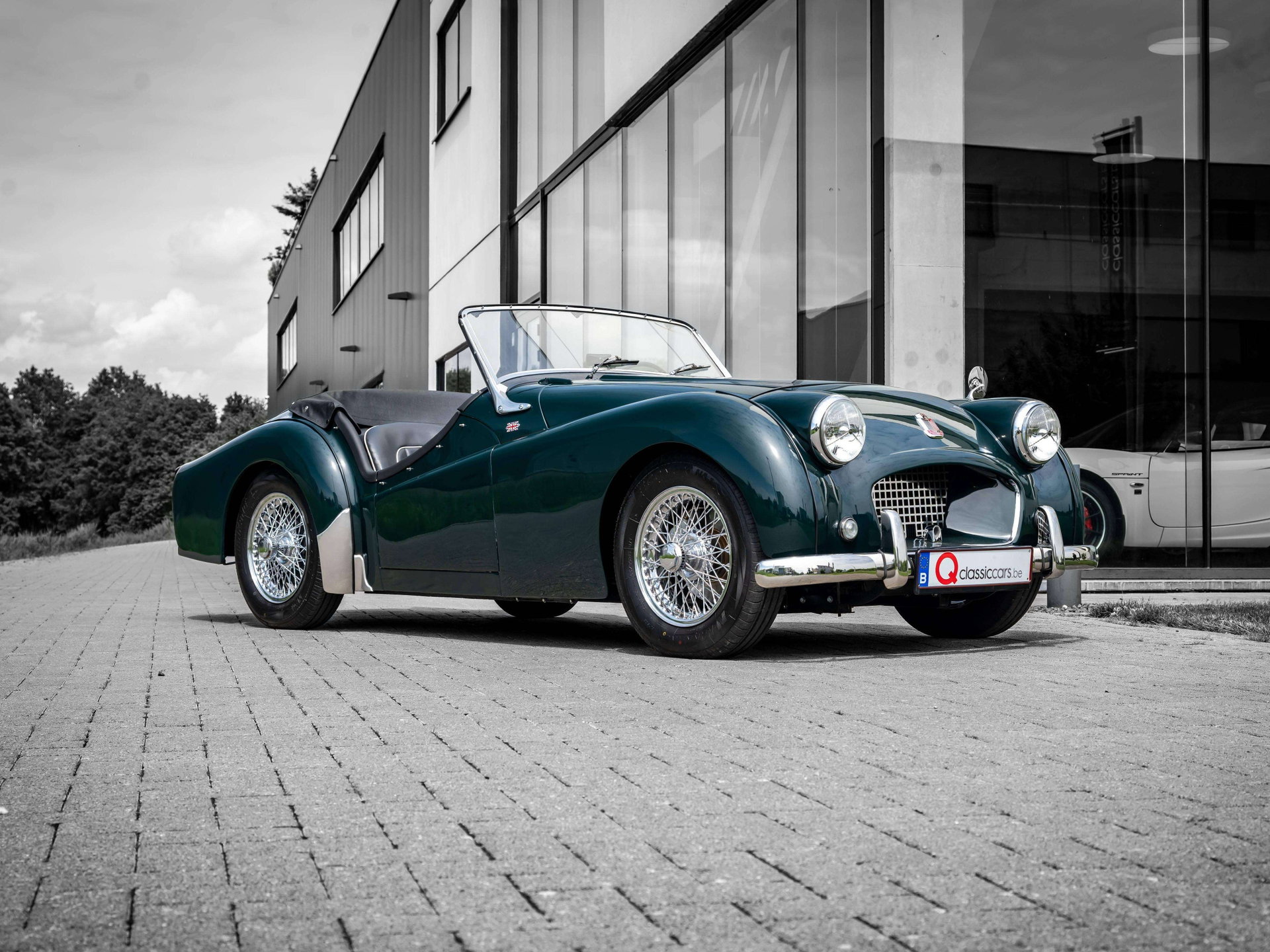 1954 Triumph TR250 - Body off restored, foto 3