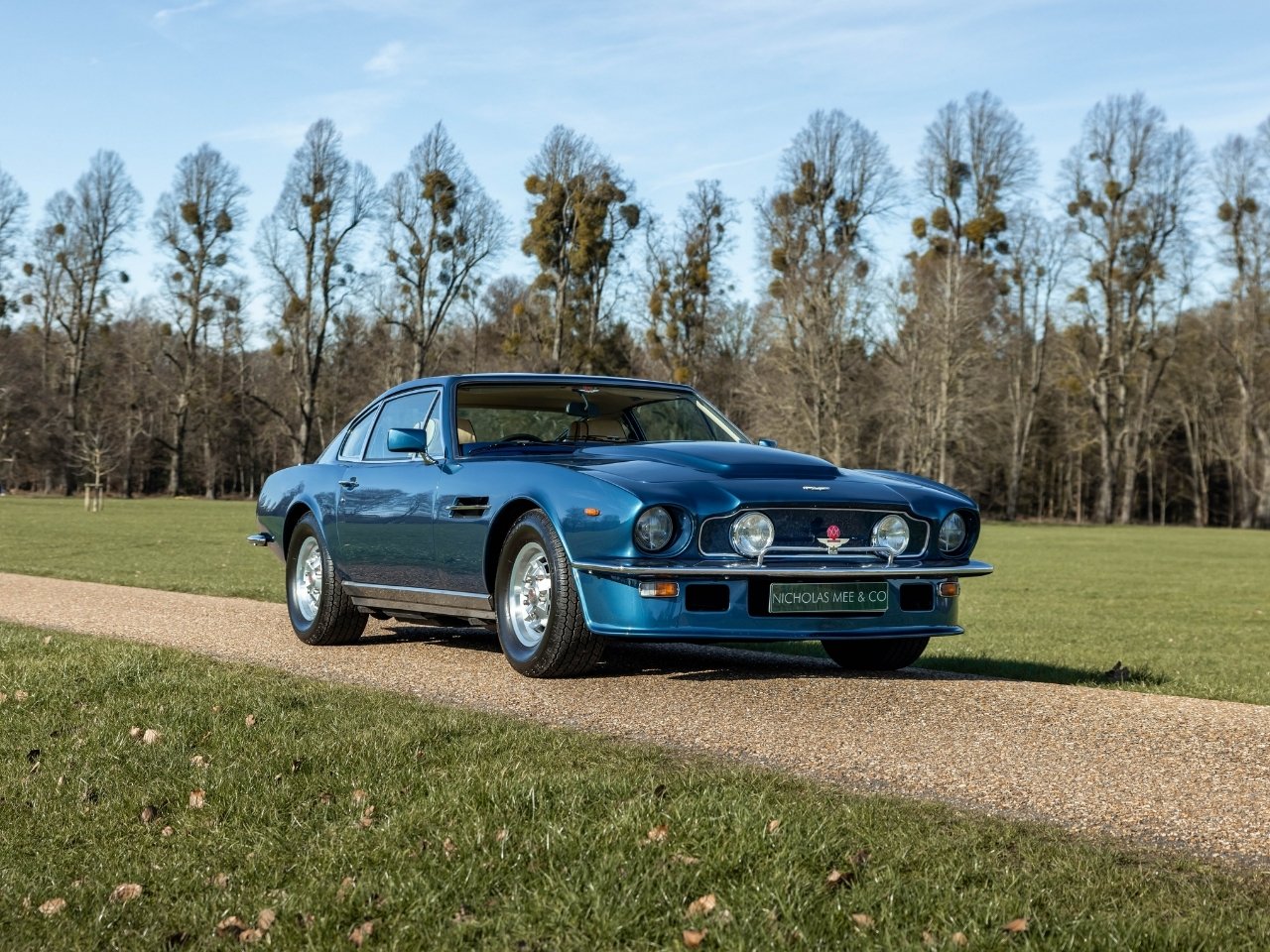 1979 Aston Martin V8 - V8 Vantage, foto 1