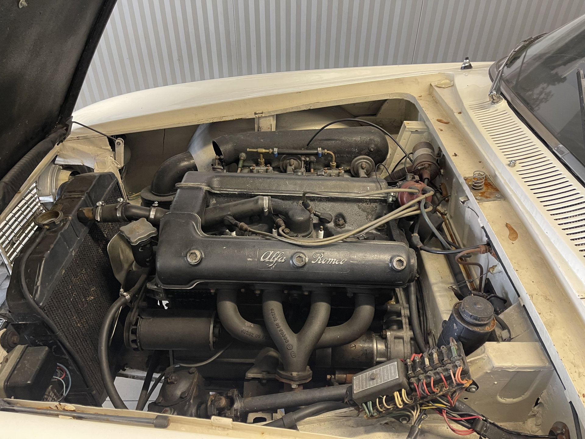 1961 Alfa Romeo 2000 - 2000, foto 10