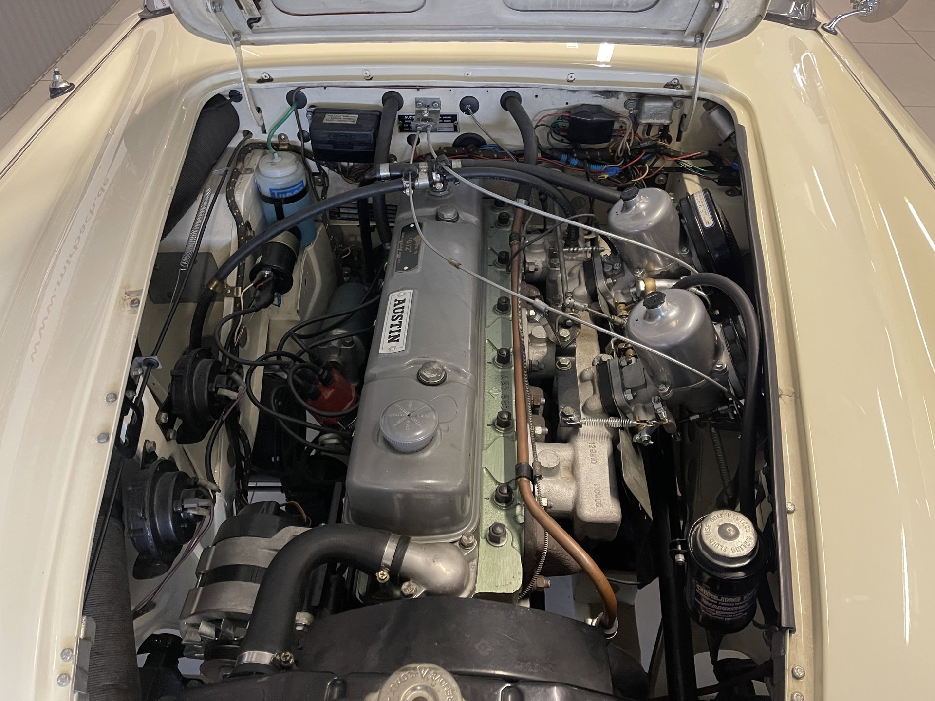 1965 Austin-Healey 3000 - 3000, foto 4