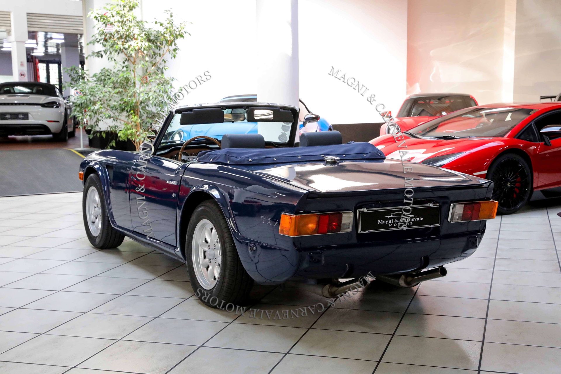 1976 Triumph TR6, foto 5