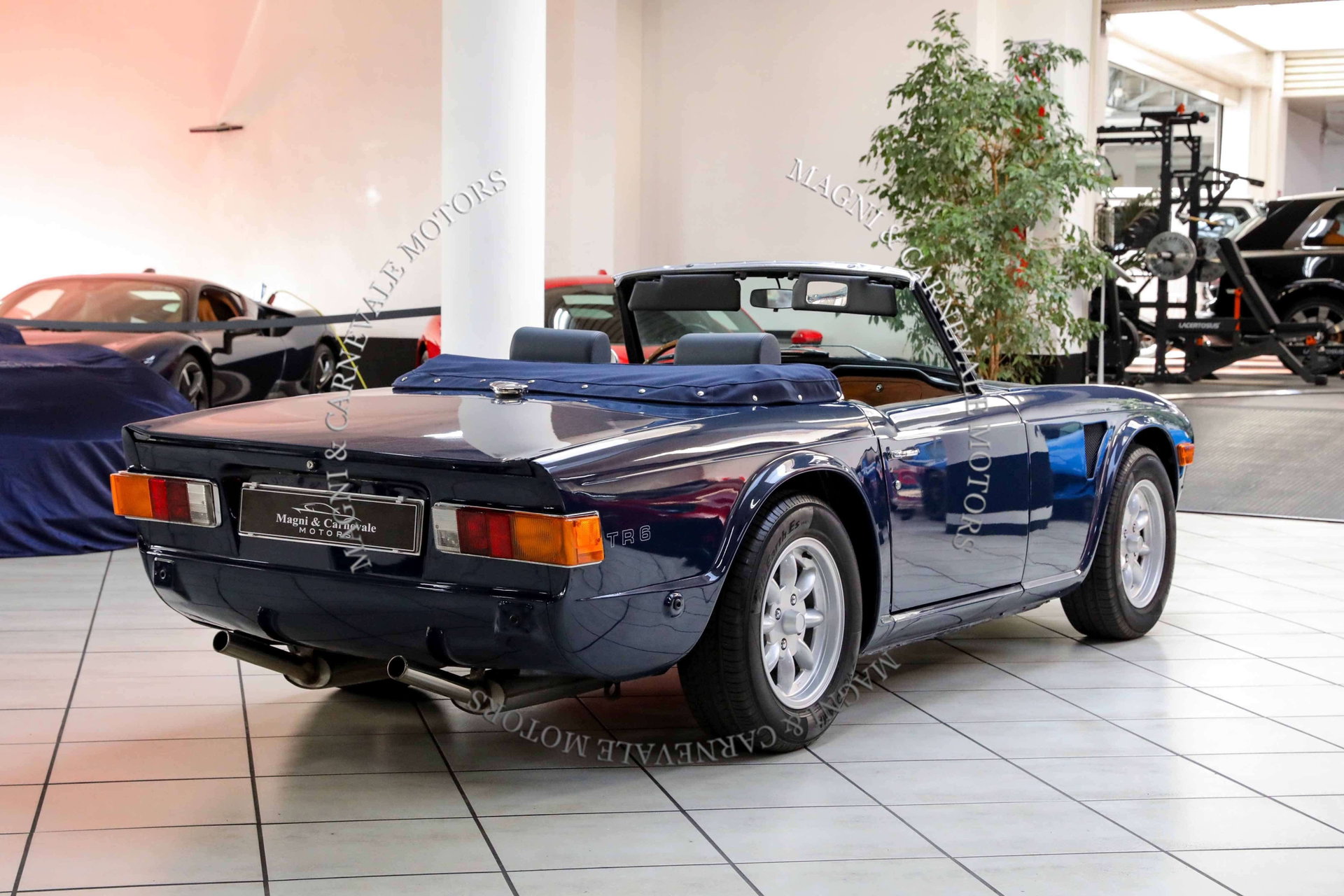 1976 Triumph TR6, foto 7