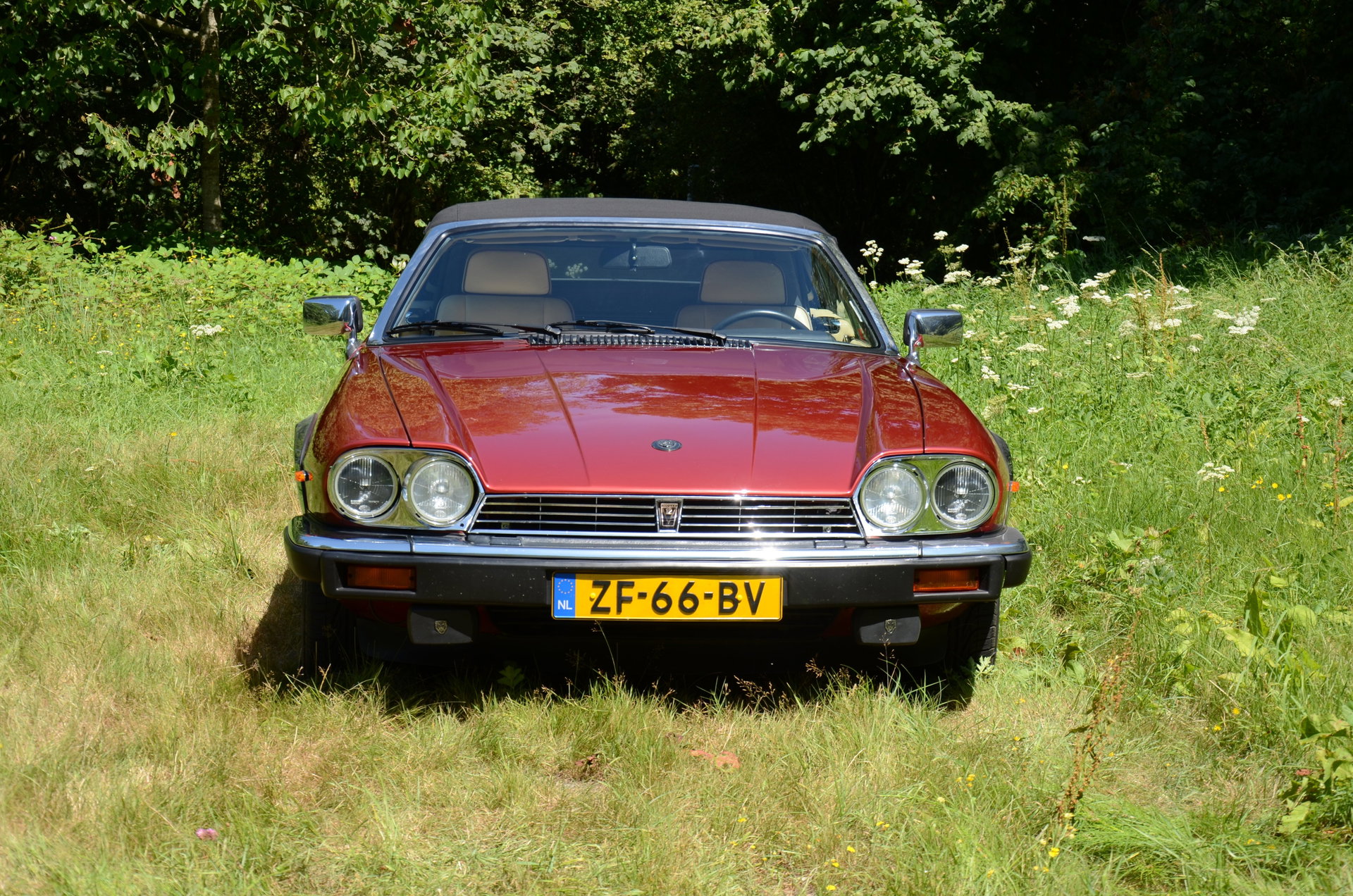 1991 Jaguar XJS - V12 5.3 litre Convertible, foto 2