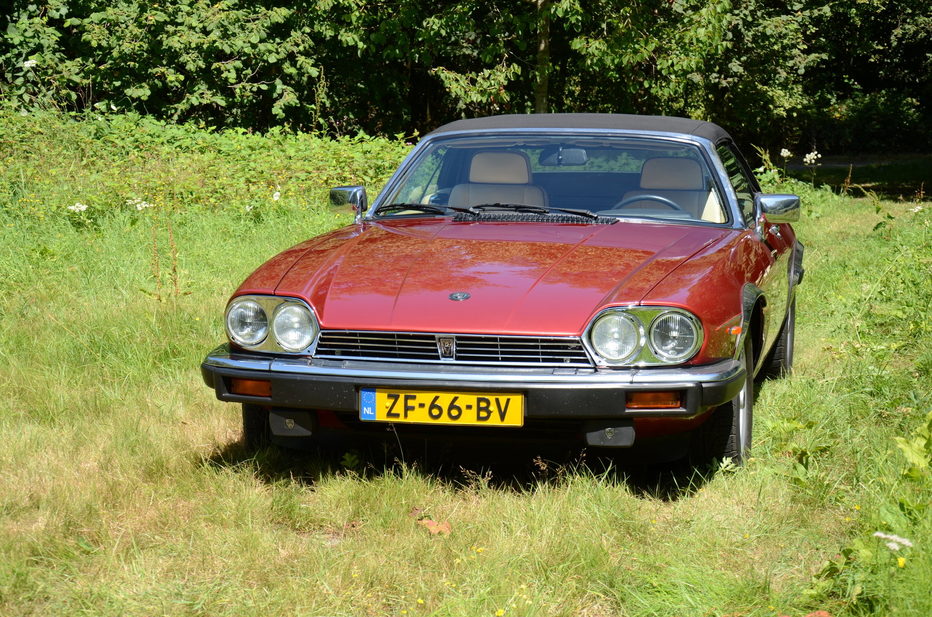 1991 Jaguar XJS - V12 5.3 litre Convertible, foto 3