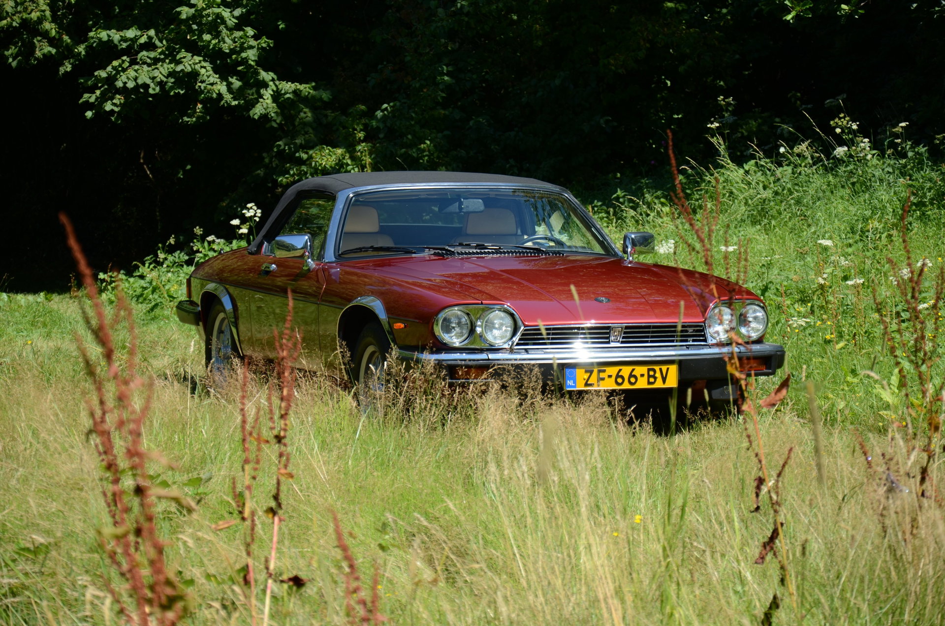 1991 Jaguar XJS - V12 5.3 litre Convertible, foto 4
