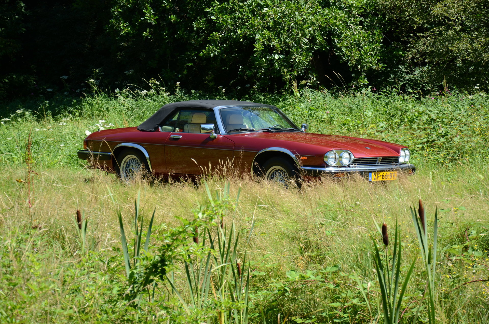 1991 Jaguar XJS - V12 5.3 litre Convertible, foto 1