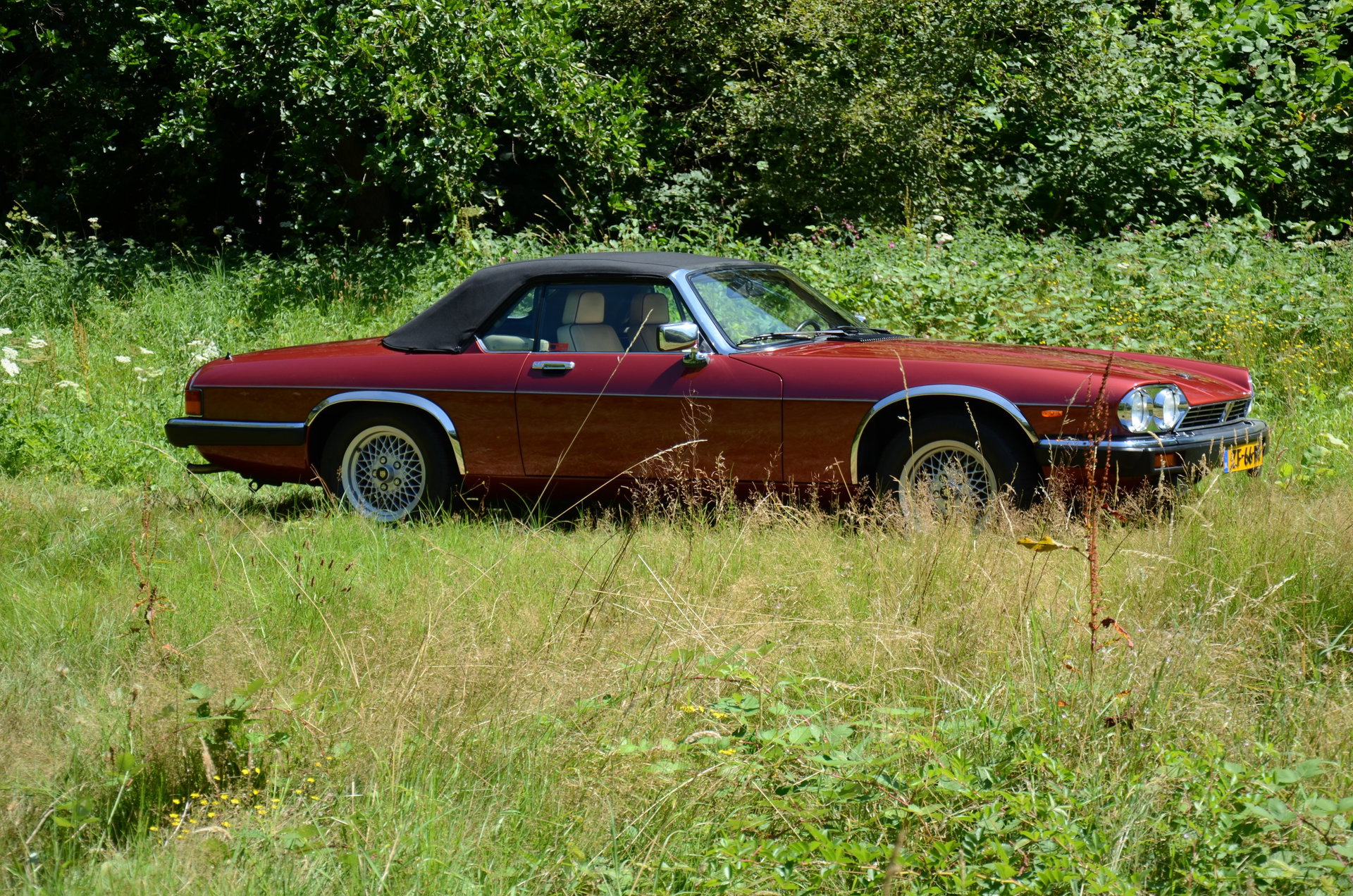 1991 Jaguar XJS - V12 5.3 litre Convertible, foto 5