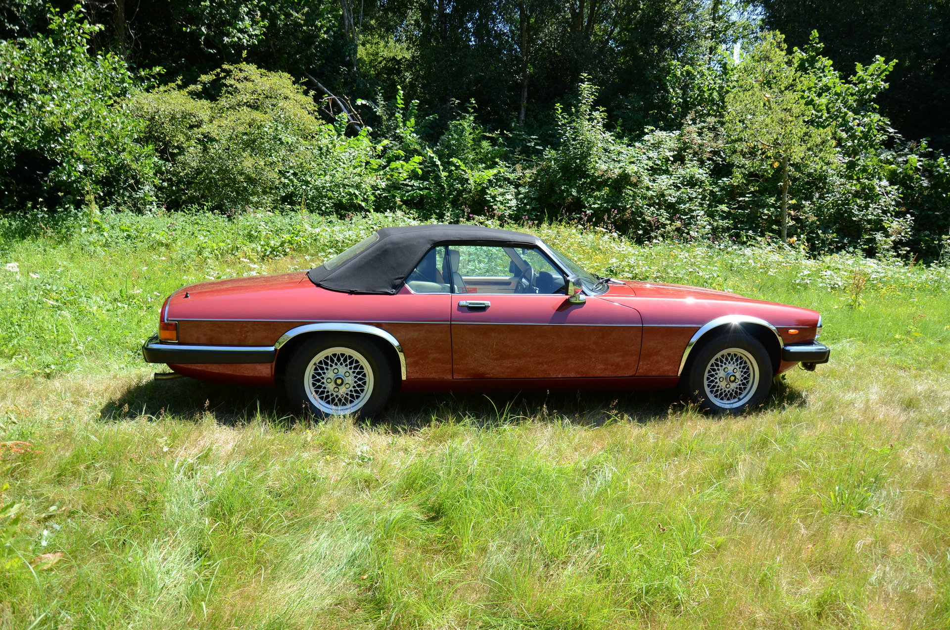 1991 Jaguar XJS - V12 5.3 litre Convertible, foto 6