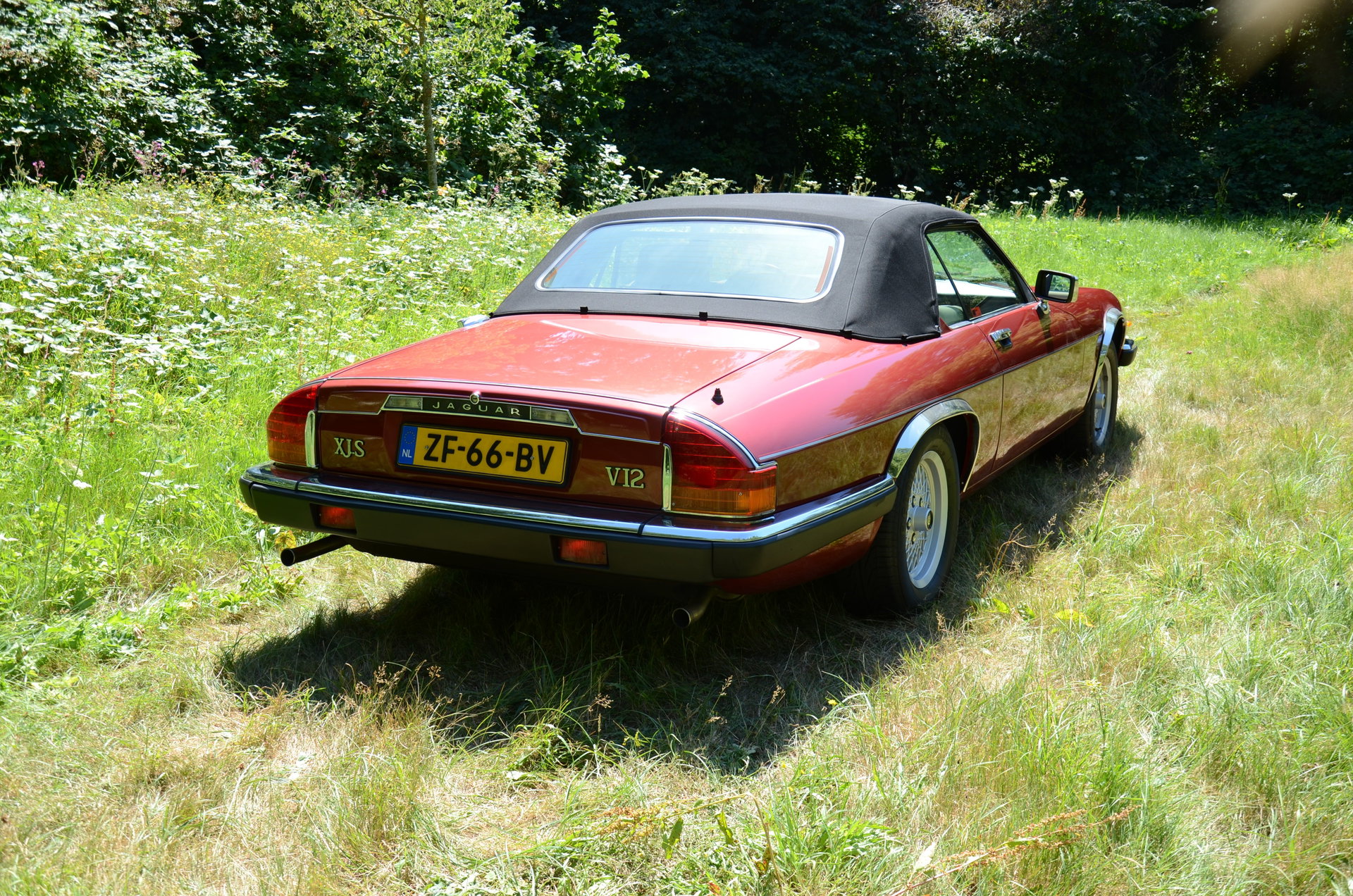 1991 Jaguar XJS - V12 5.3 litre Convertible, foto 7