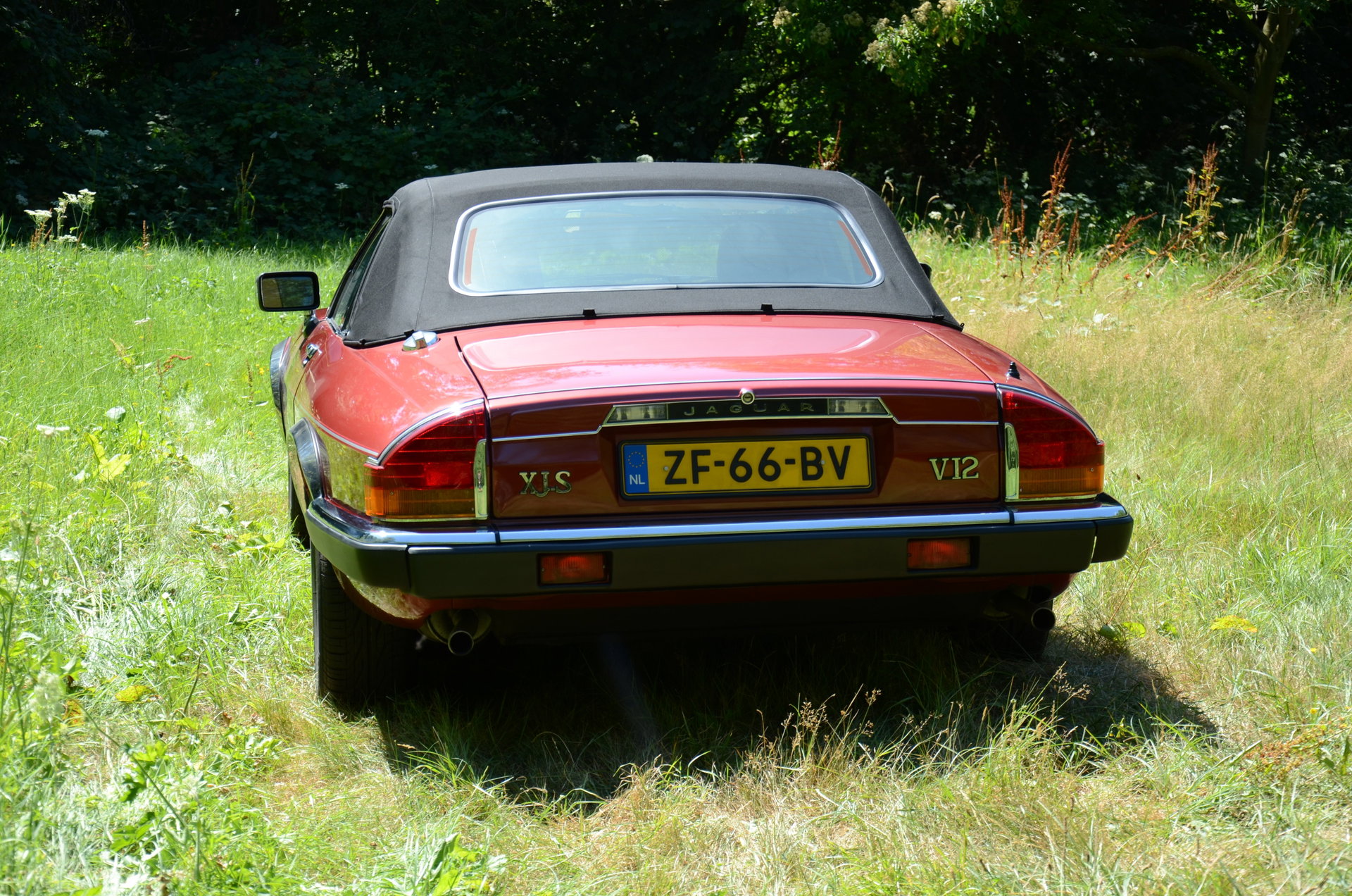 1991 Jaguar XJS - V12 5.3 litre Convertible, foto 8