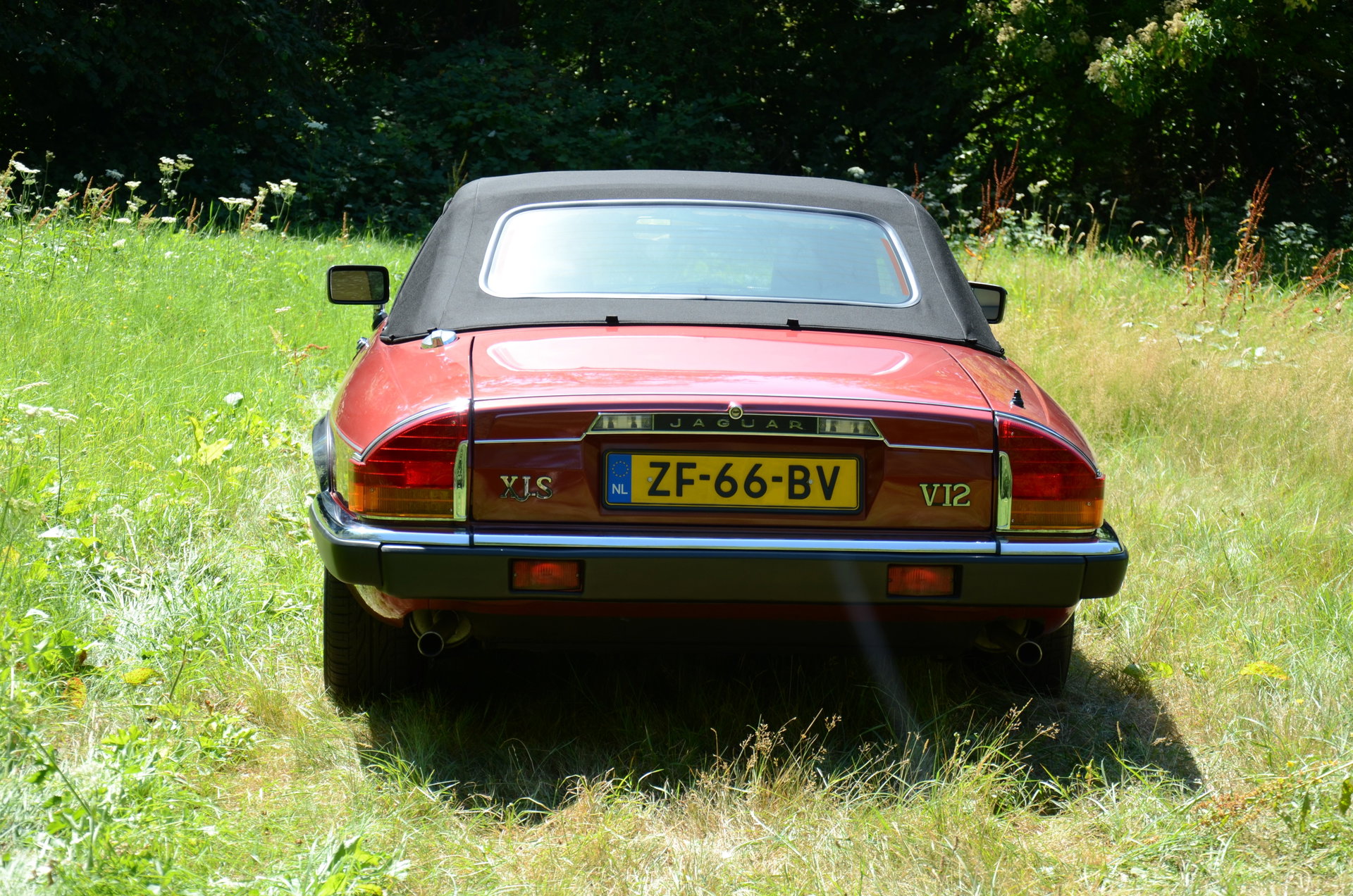 1991 Jaguar XJS - V12 5.3 litre Convertible, foto 9
