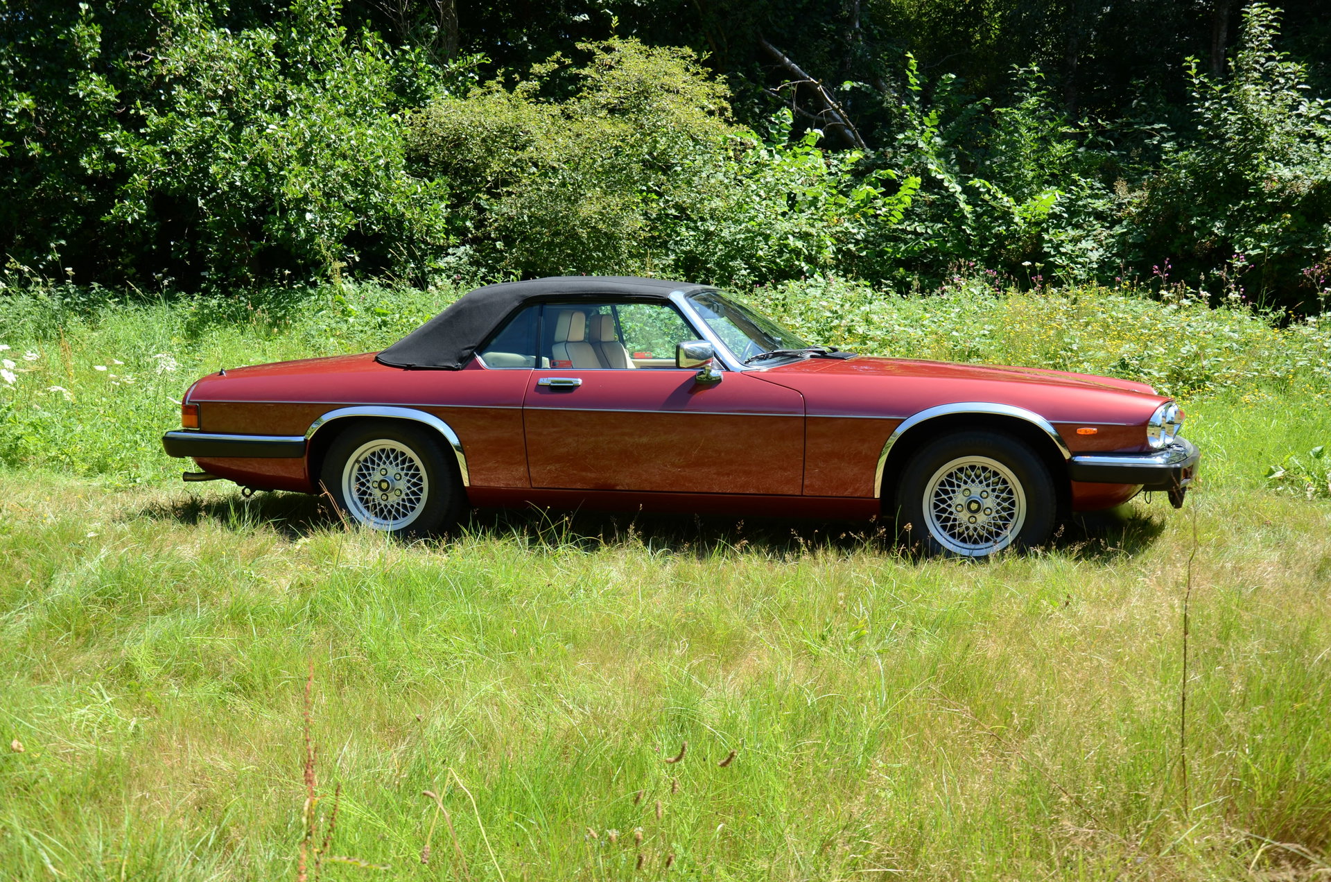 1991 Jaguar XJS - V12 5.3 litre Convertible, foto 10