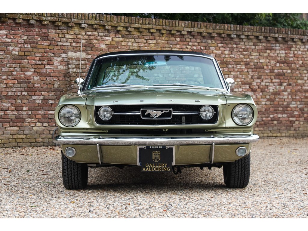1966 Ford Mustang - GT A-Code "The Dutch most award-winning Mustang", foto 5