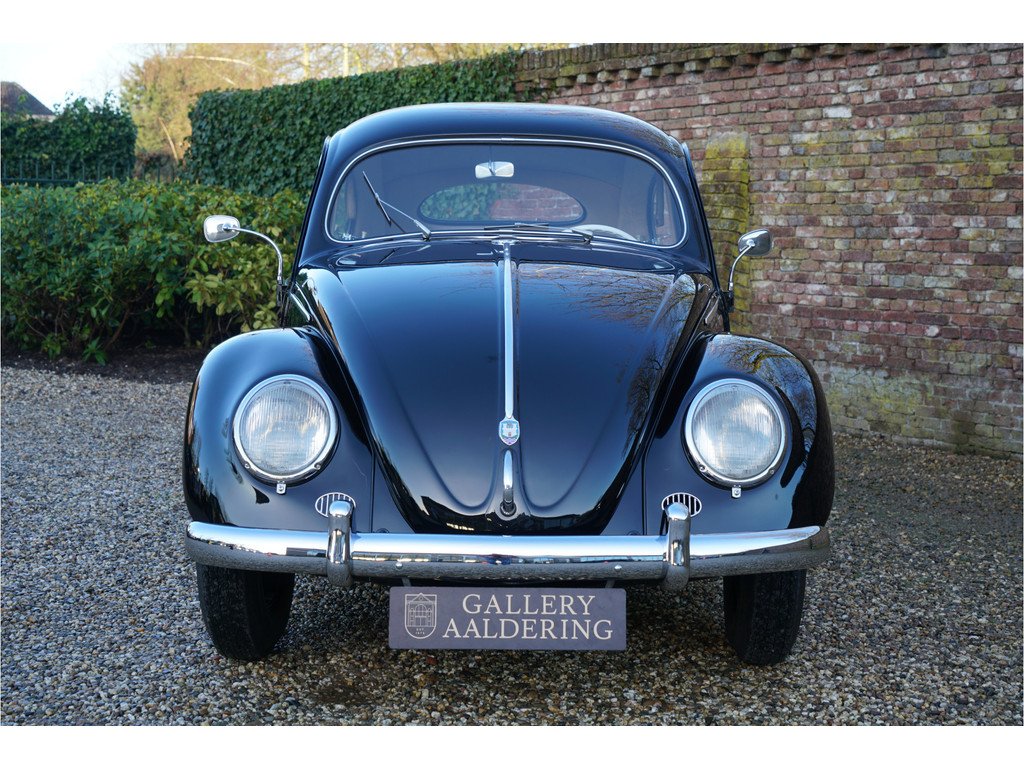 1955 VW Beetle - Oval-Window "Restored to its original purity", foto 5