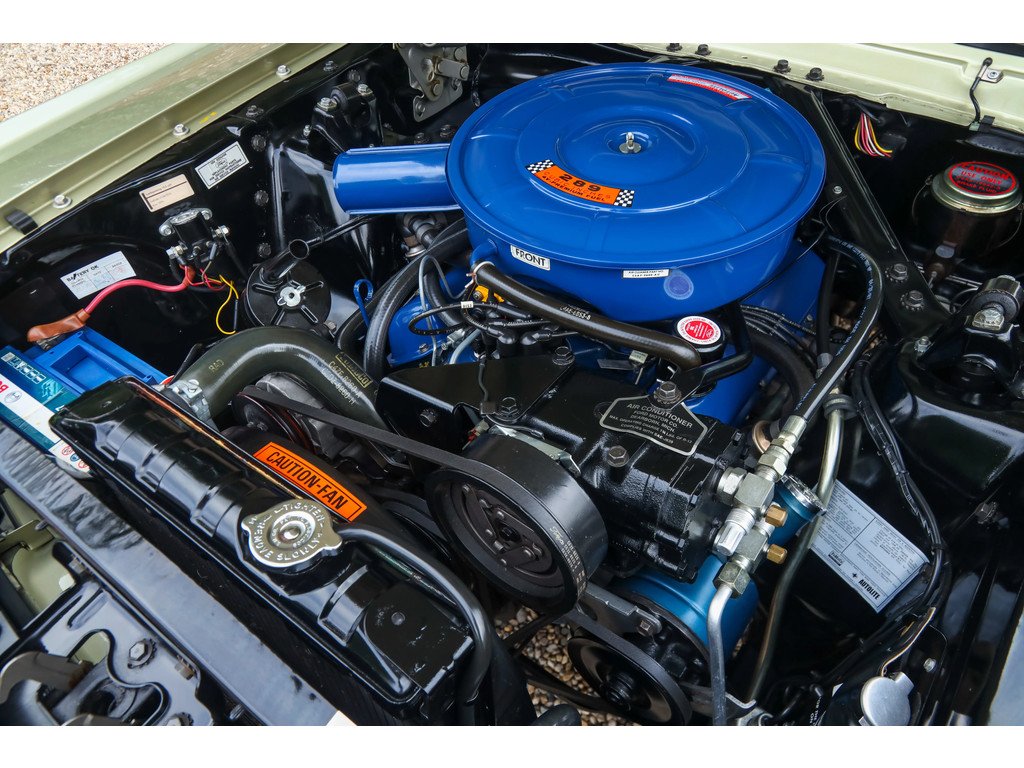 1966 Ford Mustang - GT A-Code "The Dutch most award-winning Mustang", foto 4