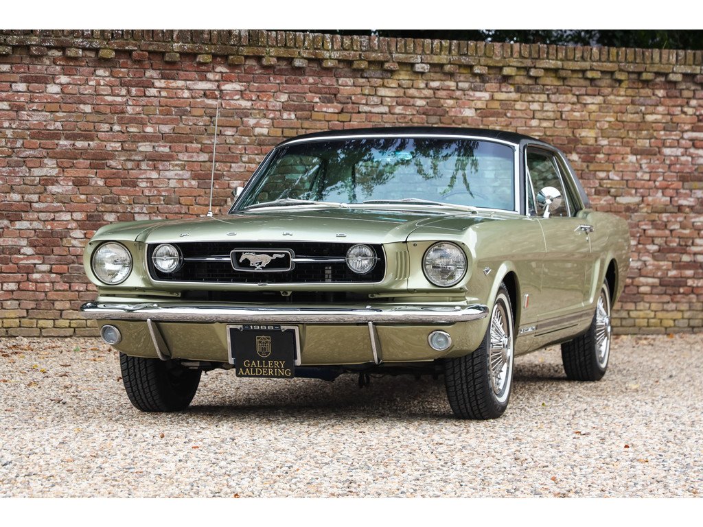 1966 Ford Mustang - GT A-Code "The Dutch most award-winning Mustang", foto 1