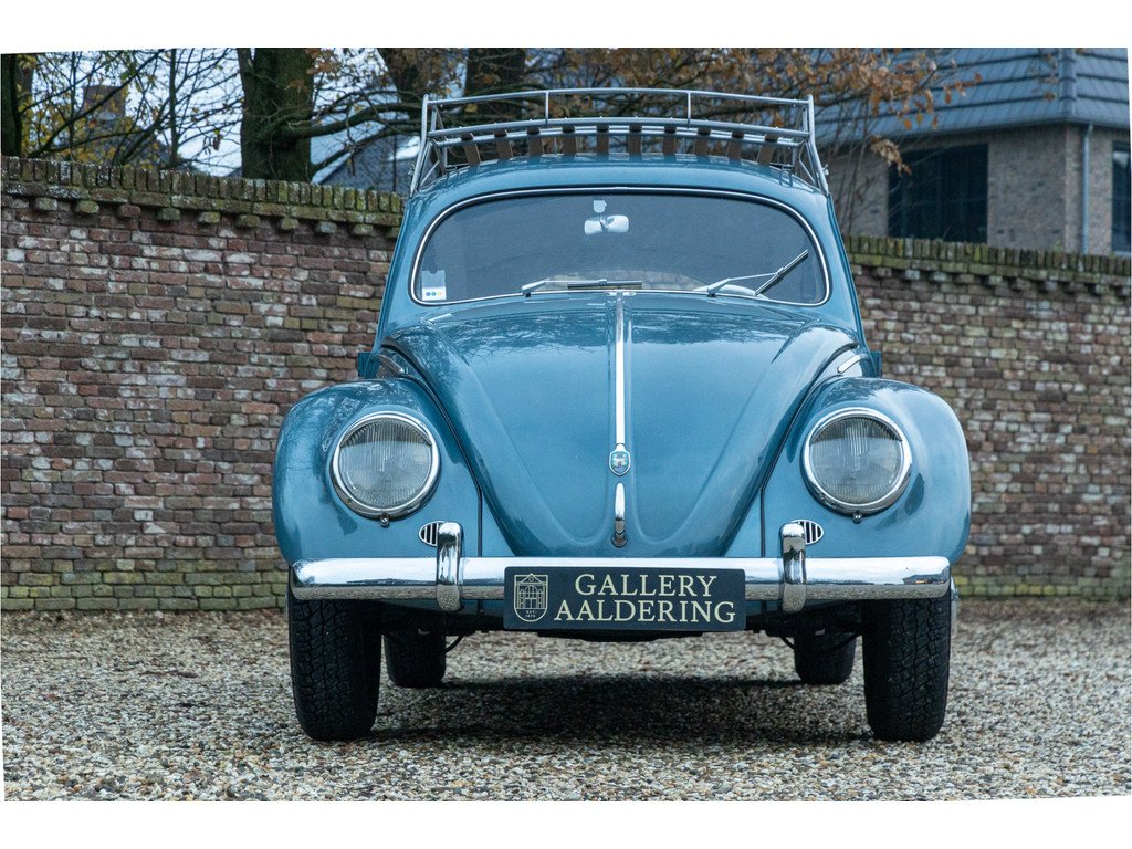 1954 VW Beetle - "Oval" 1200 Standard, foto 5