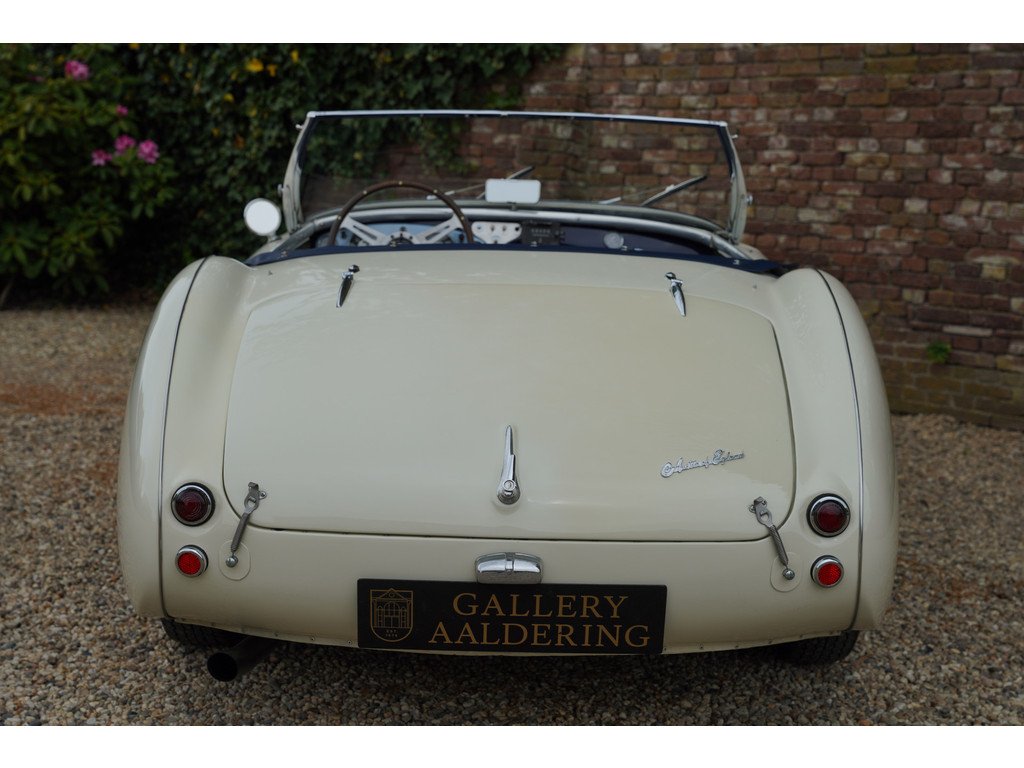1953 Austin-Healey 100 / 4, foto 6